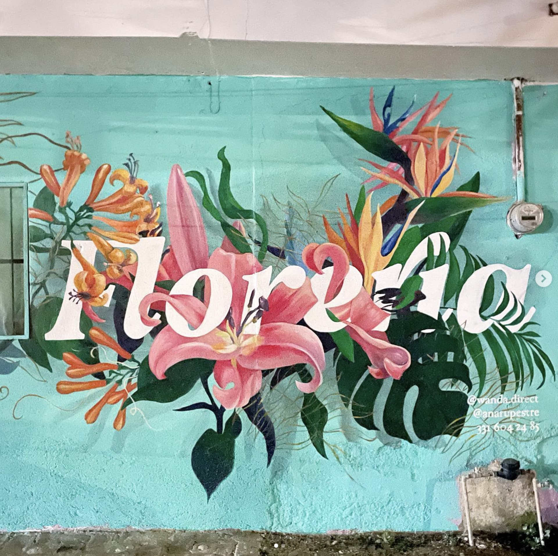 floreria by Wanda