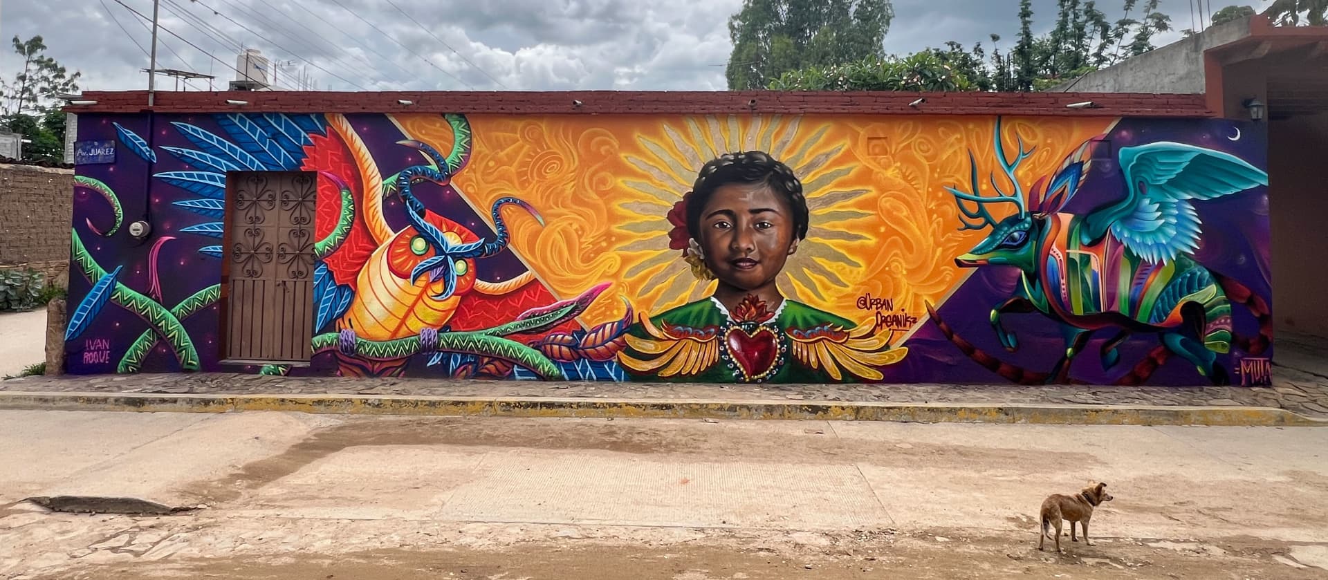 Sombra y Sol (artist residence in Mexico) by Rei Ramirez
