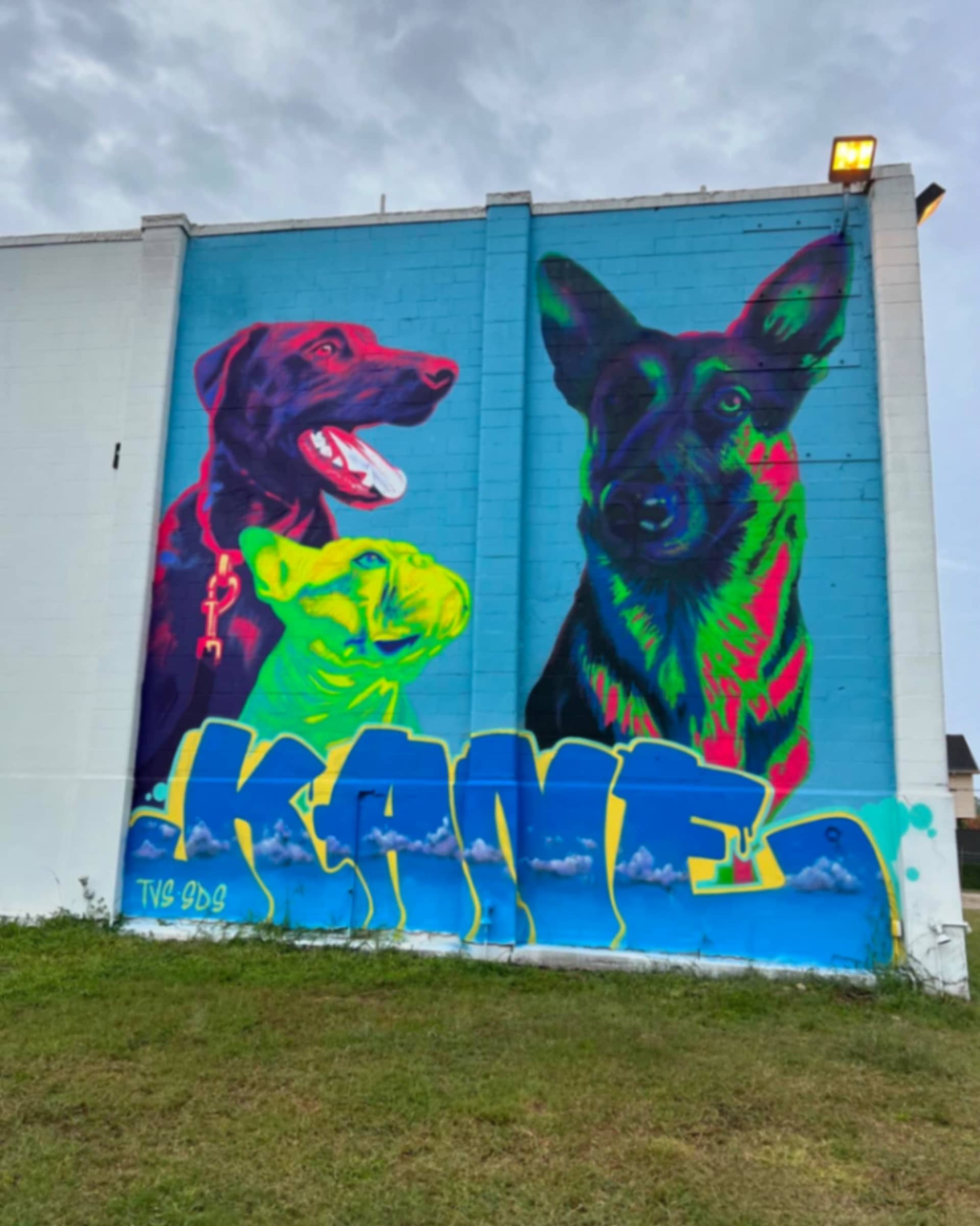 Maverick and Leo by Kane