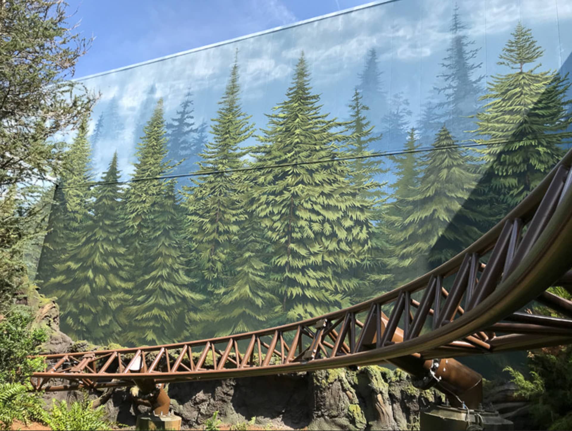 Forbidden Forest by Painted Tusk