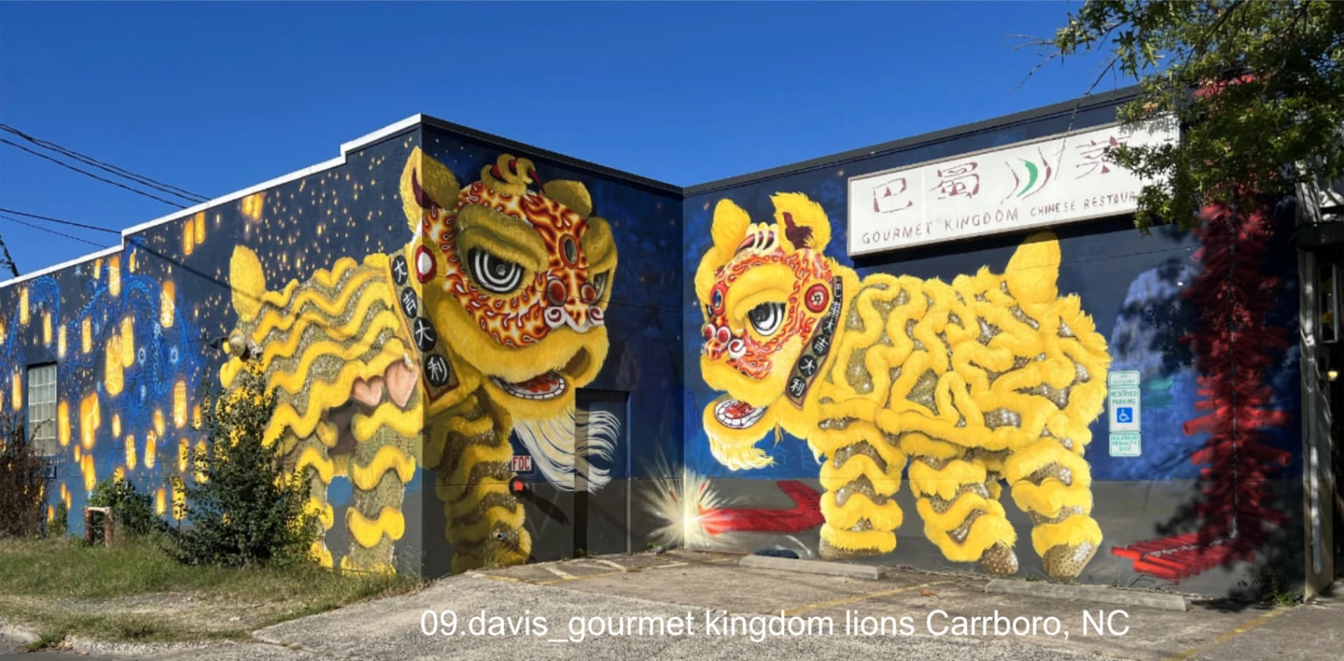 lions by Nonperishable