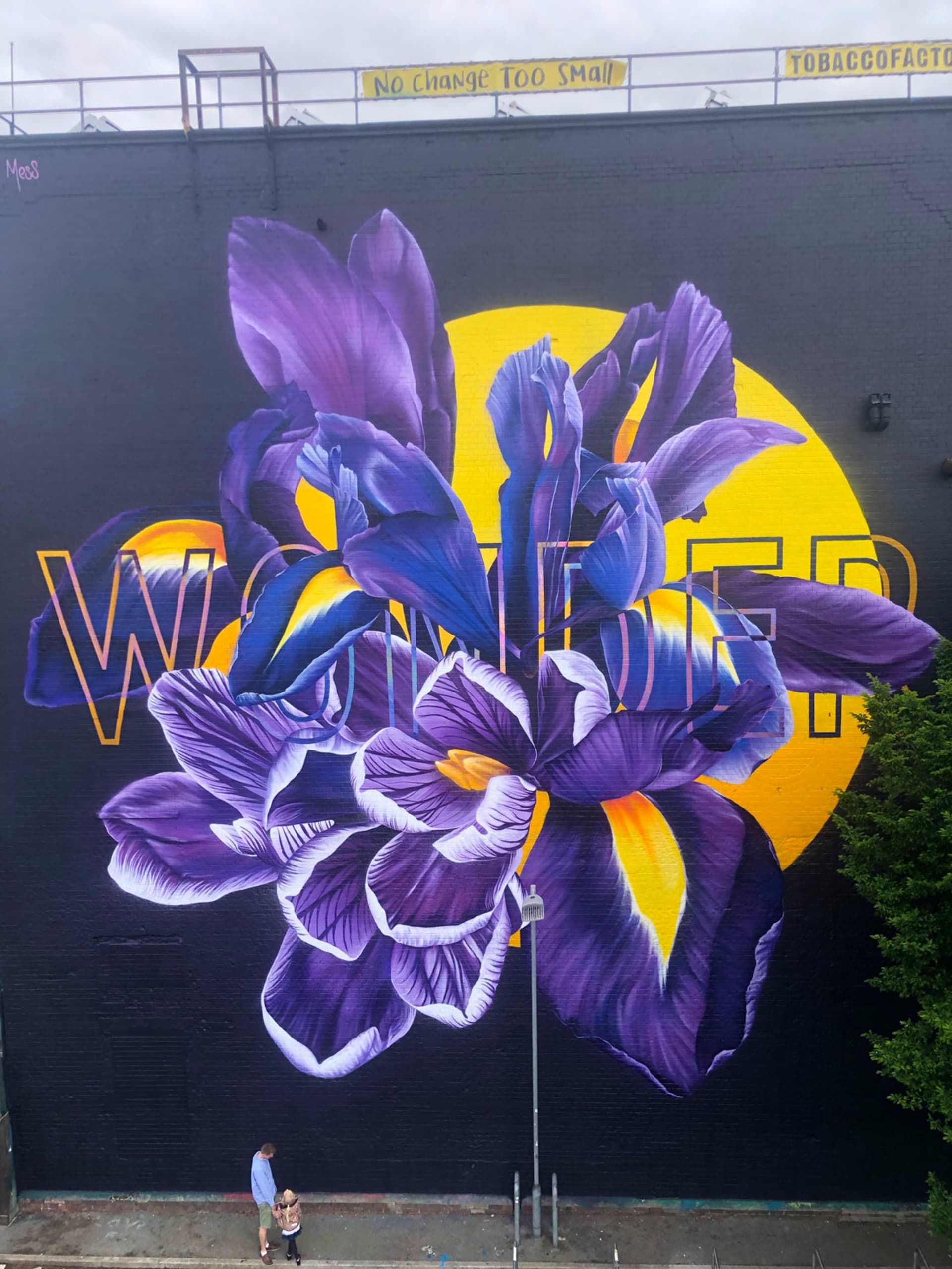 Blooming Wonder in Urban Serenity by Sophie Mess