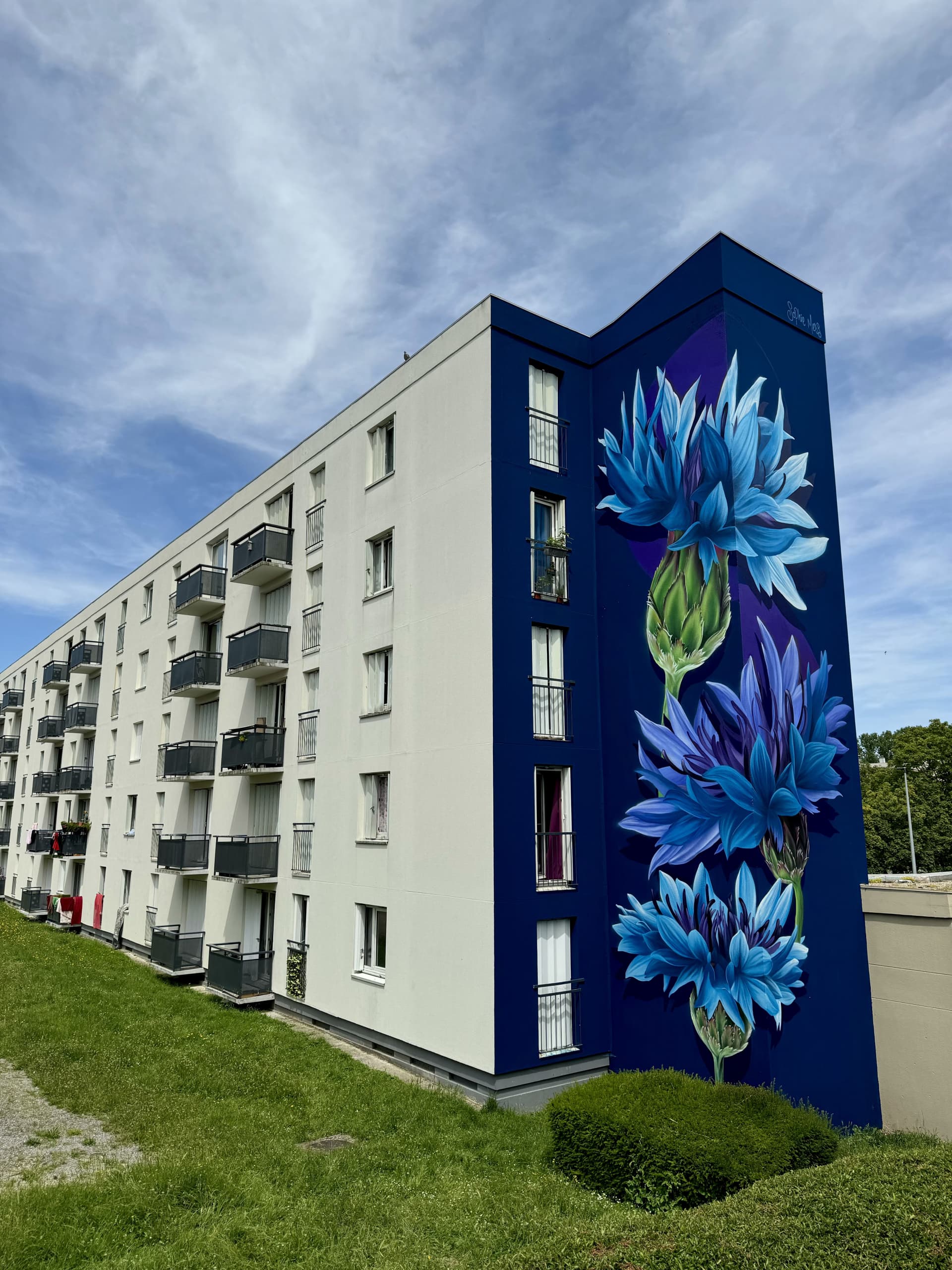 Blooming Serenity in Urban Blue by Sophie Mess