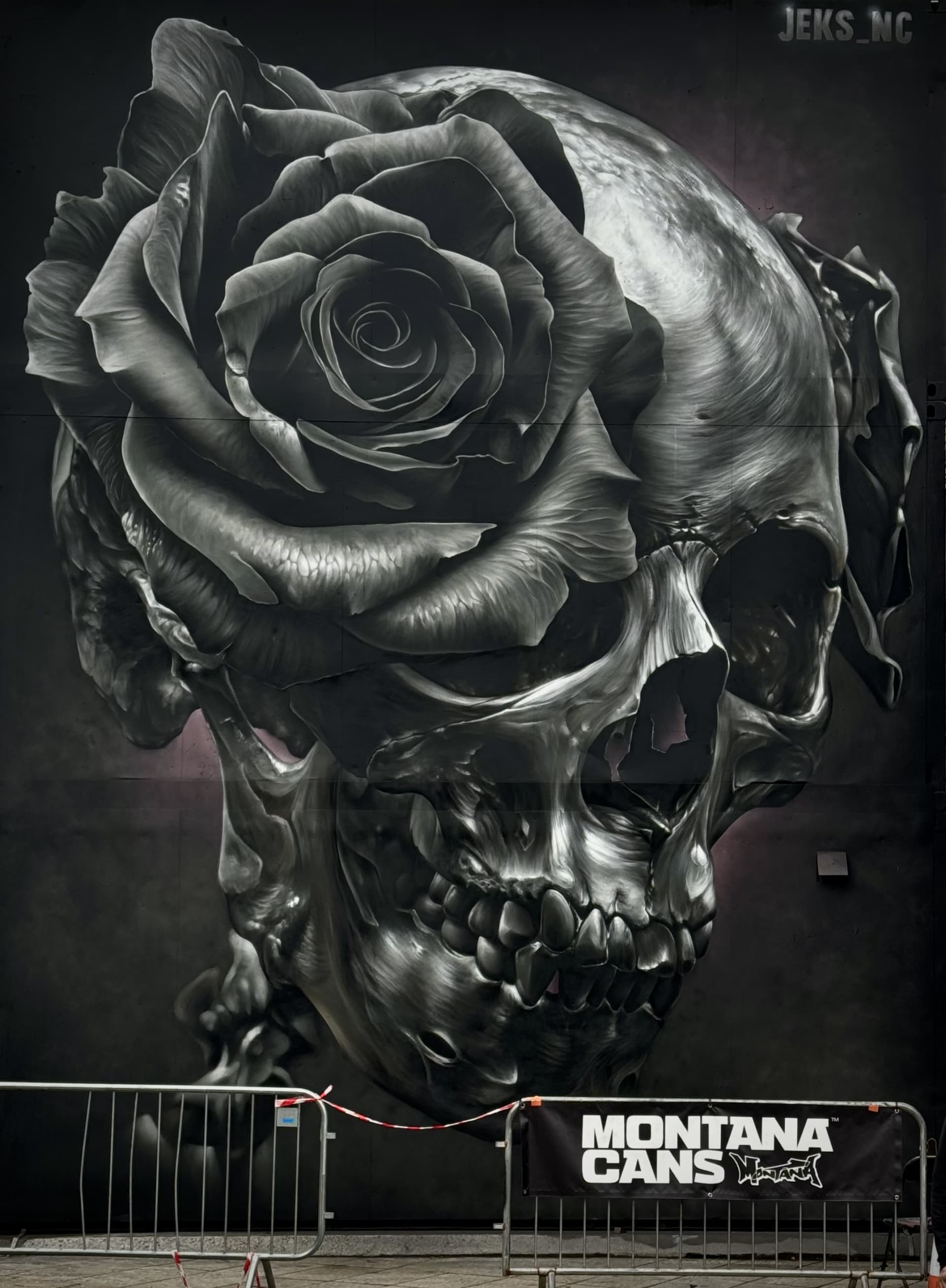 Eternal Beauty in Shadows and Bone by JEKS ONE