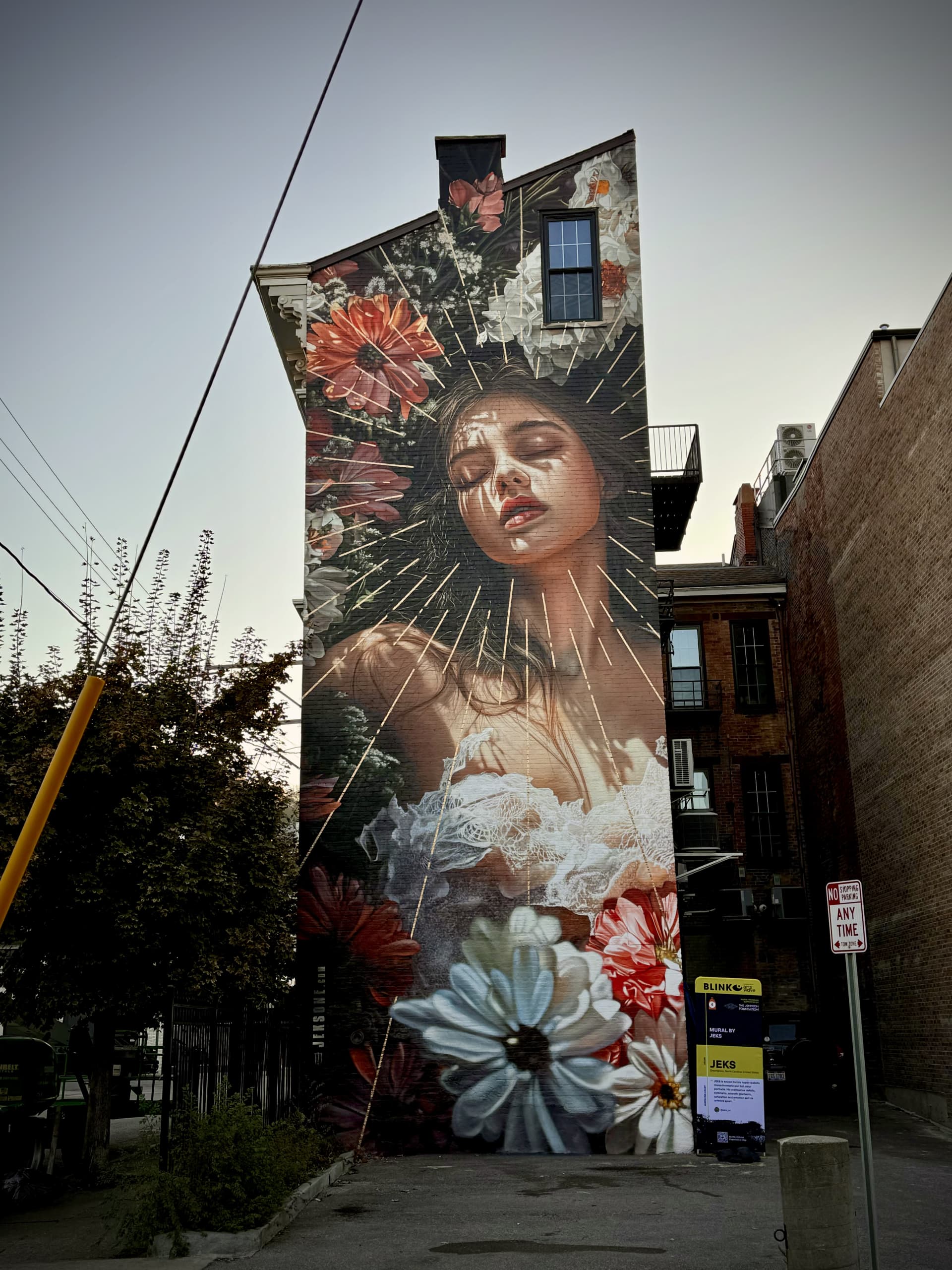 Radiance of Blossoms and Dreaming Eyes by JEKS ONE