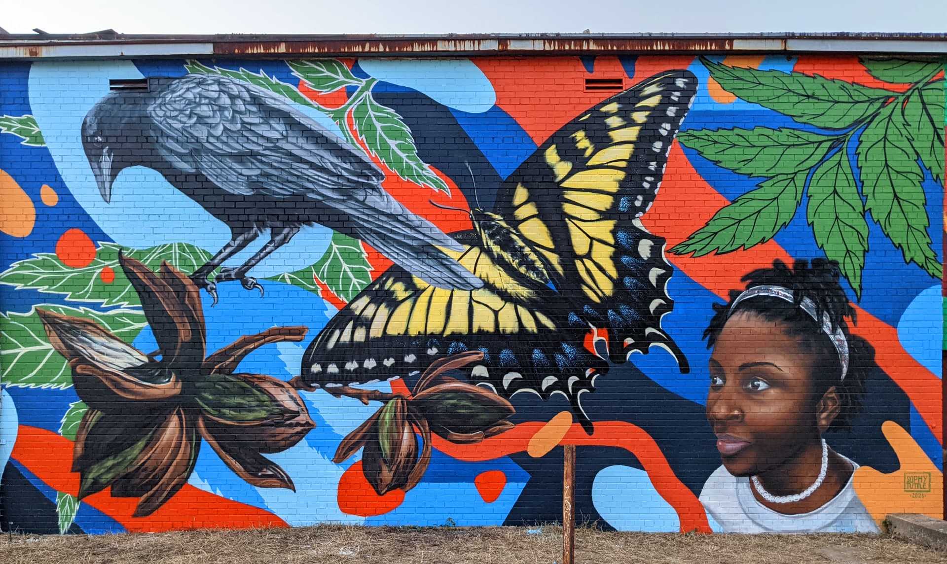 Woodlawn by Sophy Tuttle