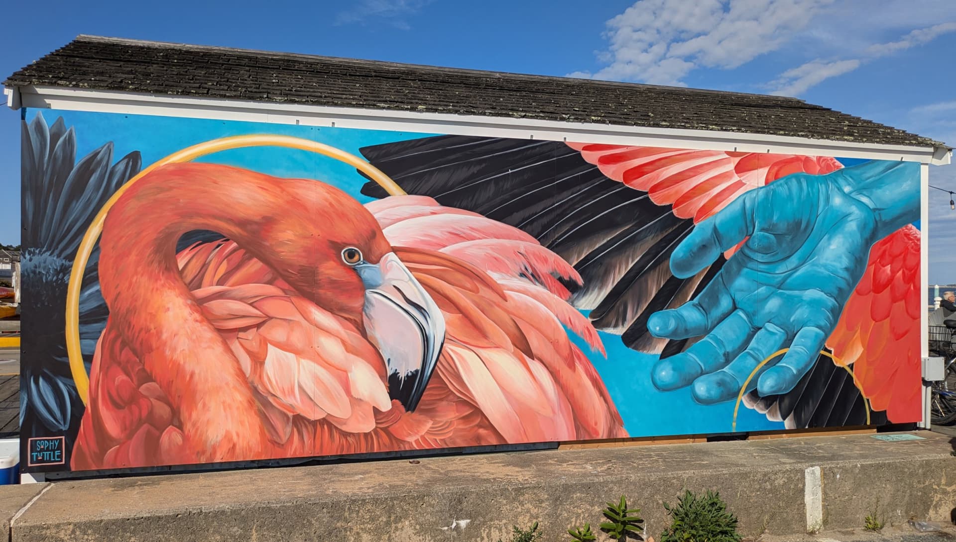 Helping Hand  by Sophy Tuttle