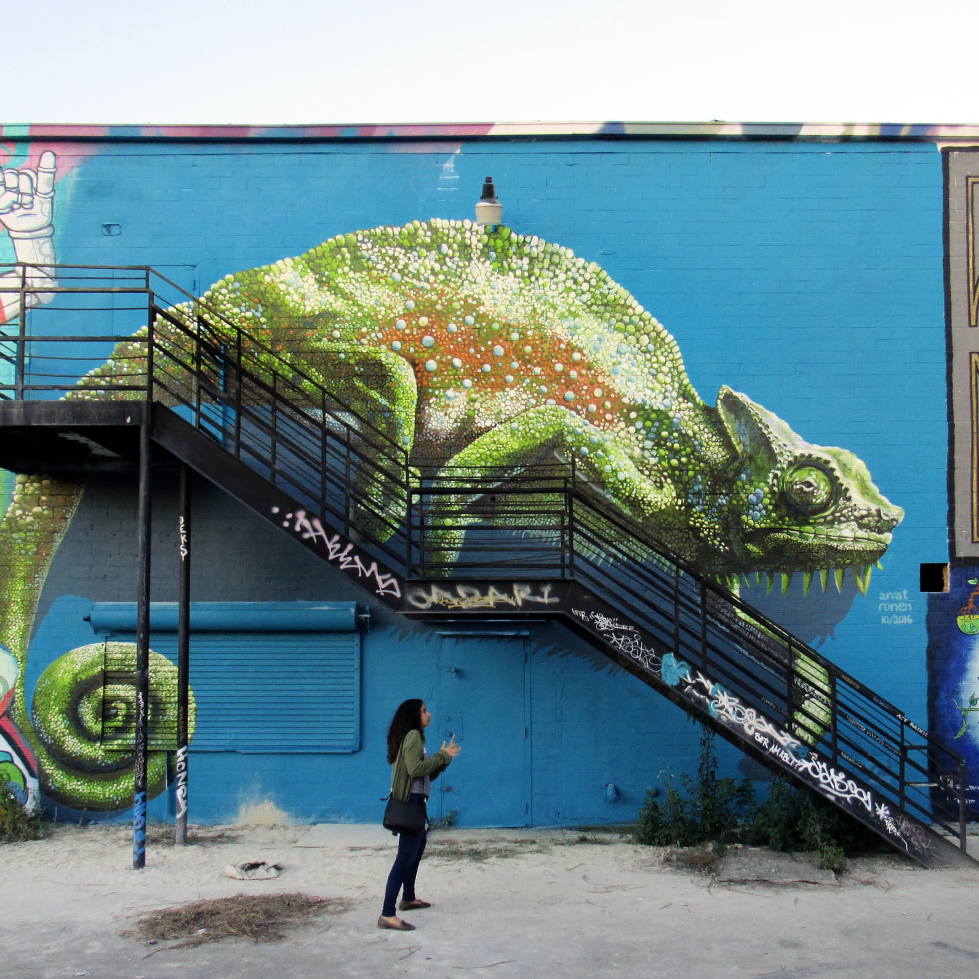 The chameleon  by anat ronen