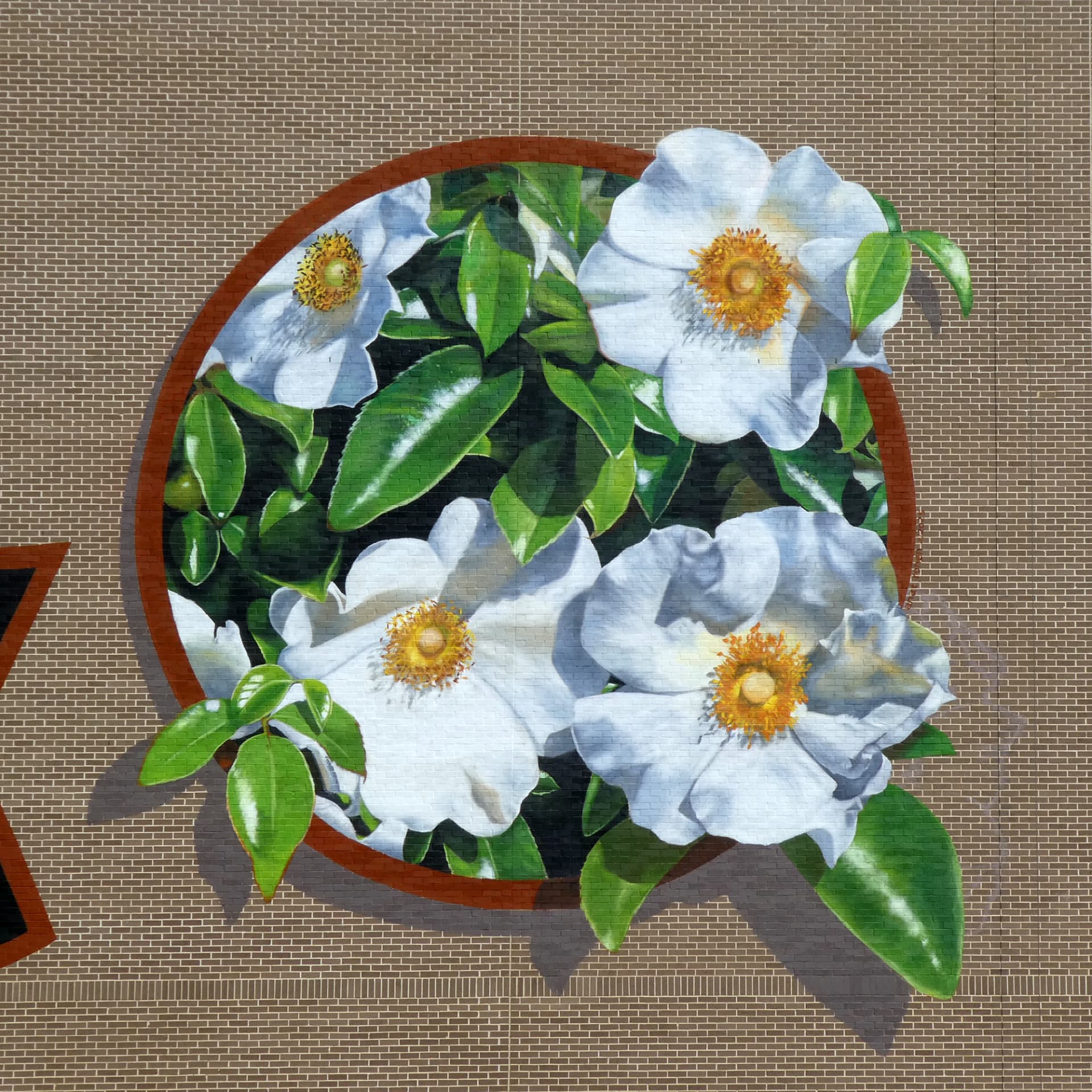 Welcome to Mountain Park mural detail by anat ronen