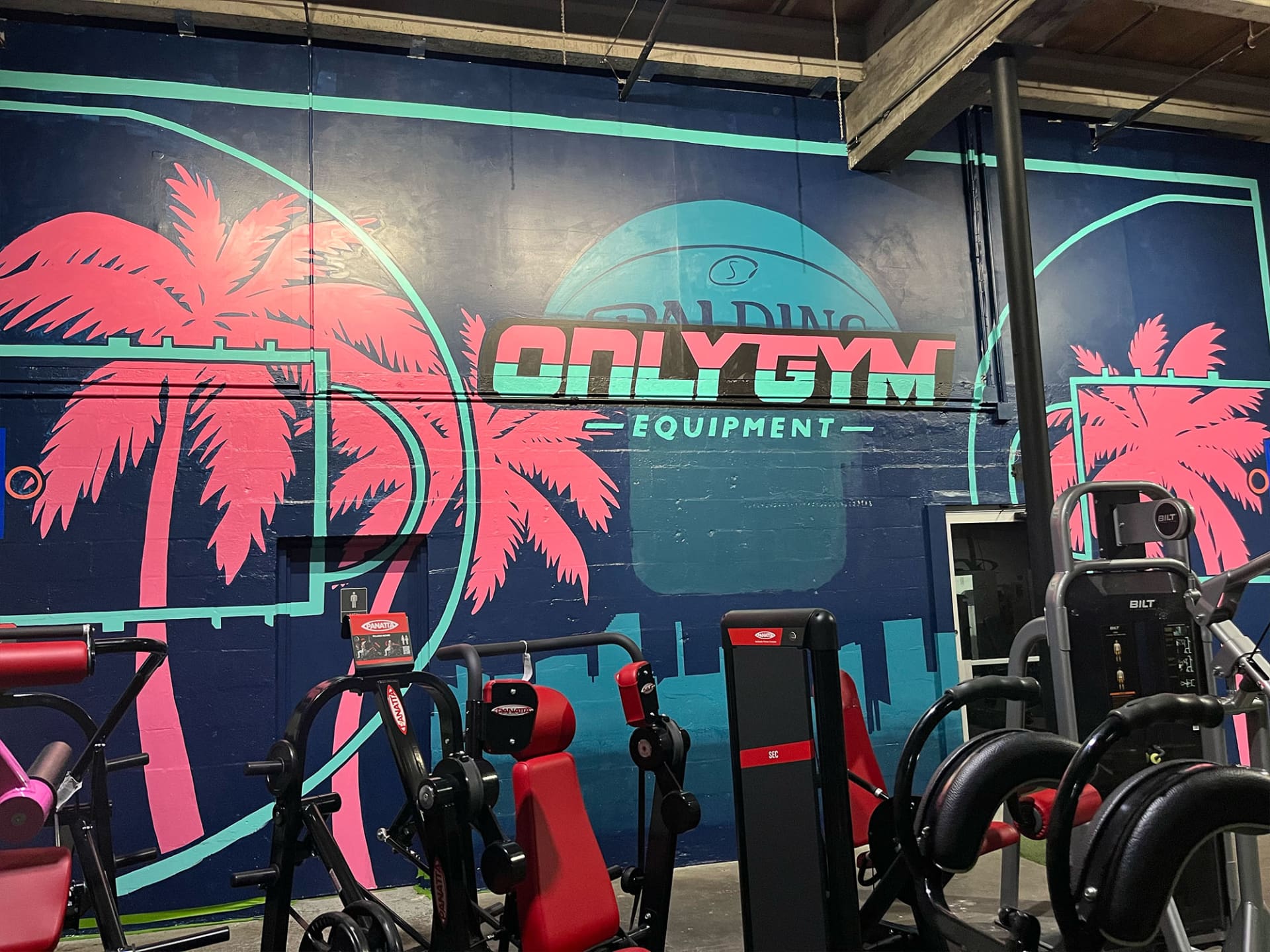 Tropical Vibes in Urban Fitness Escape by jbluery