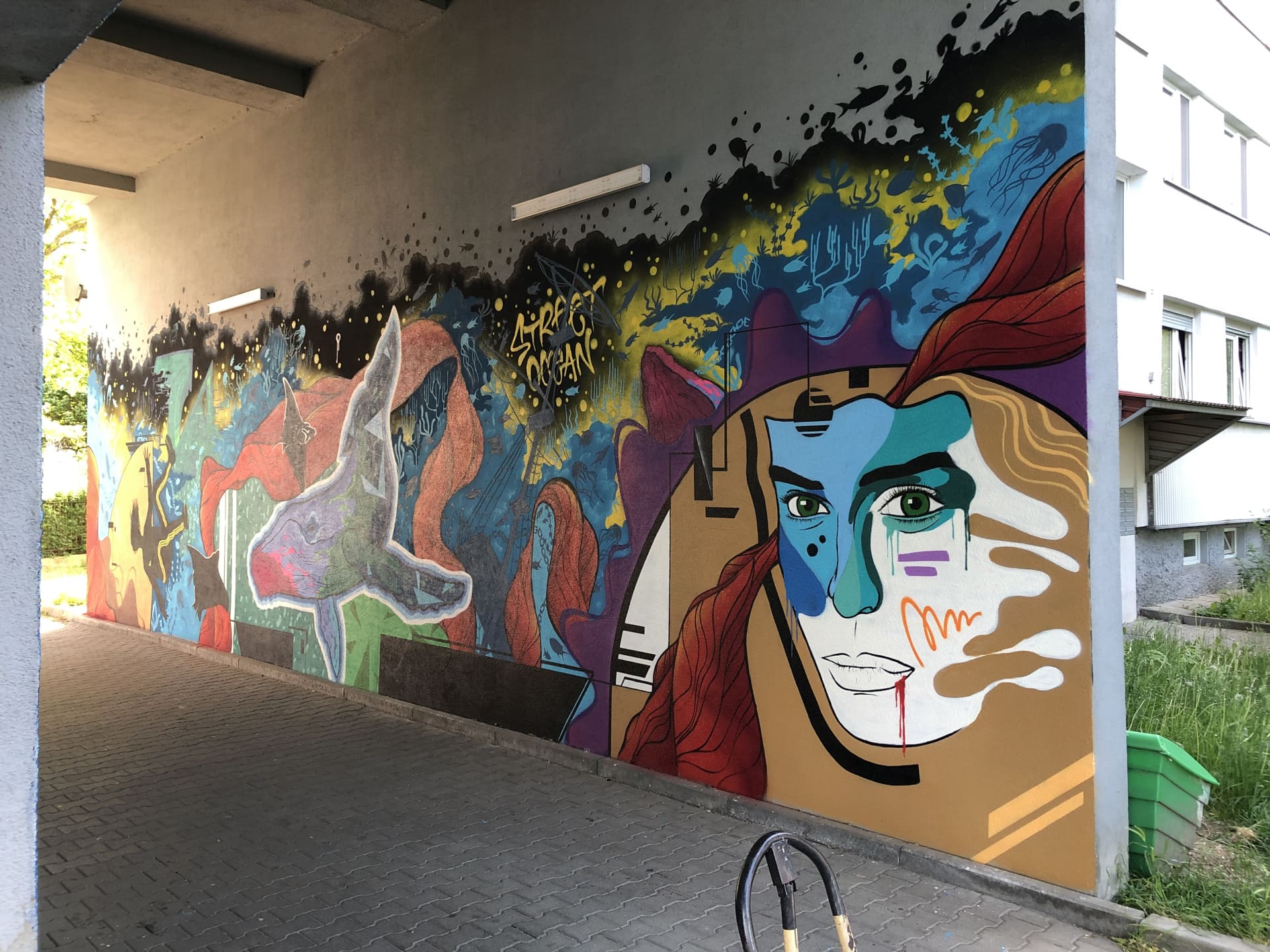 Visions of Identity and Transformation by shkic.er