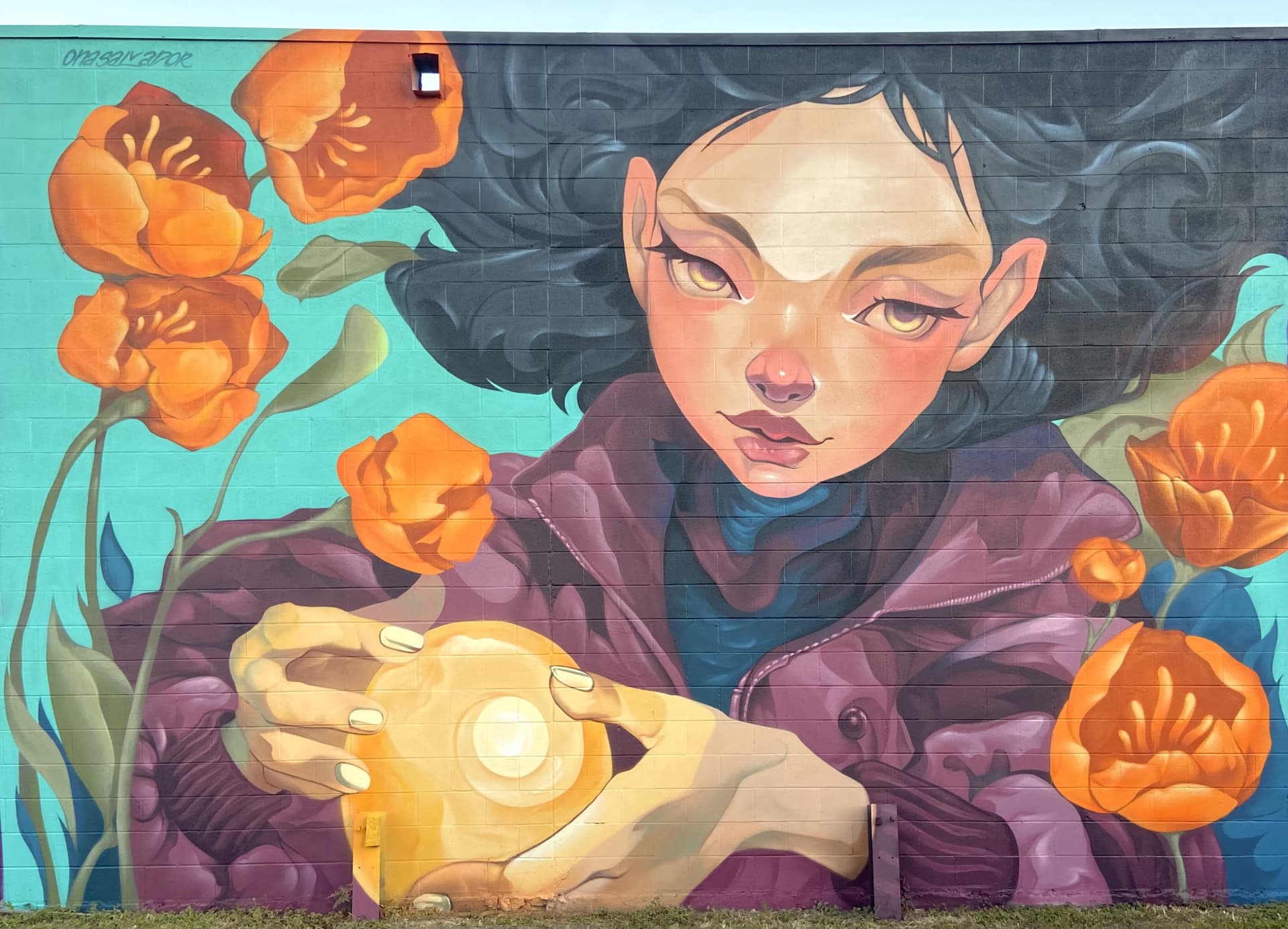 ‘Aurora’ by Ona Salvador