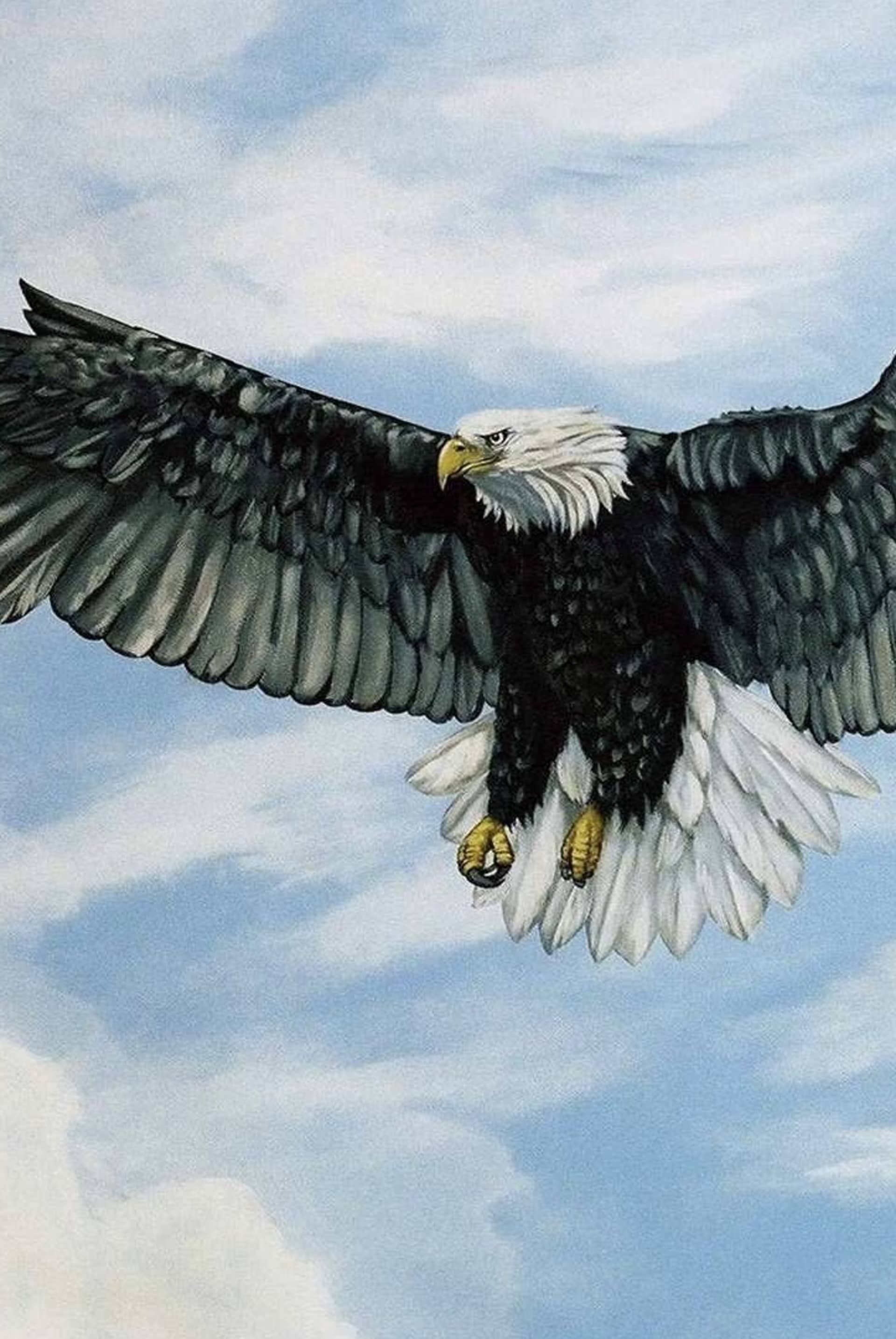 Eagle Sky Ceiling Mural by Tom Taylor