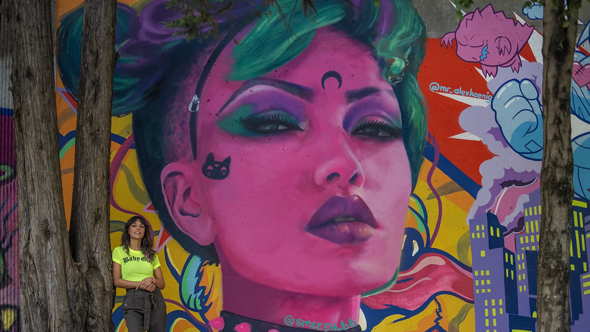 Smeesh's cover image