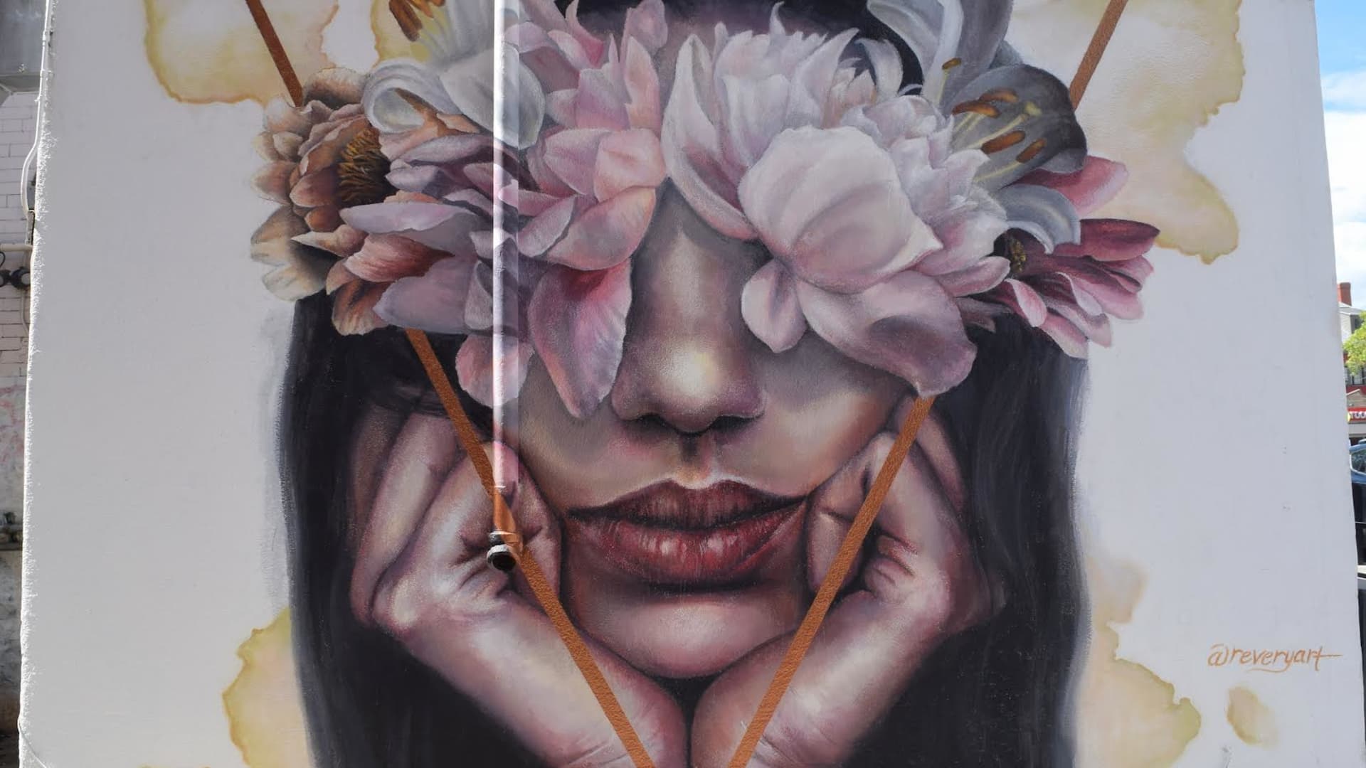 Revery's cover image
