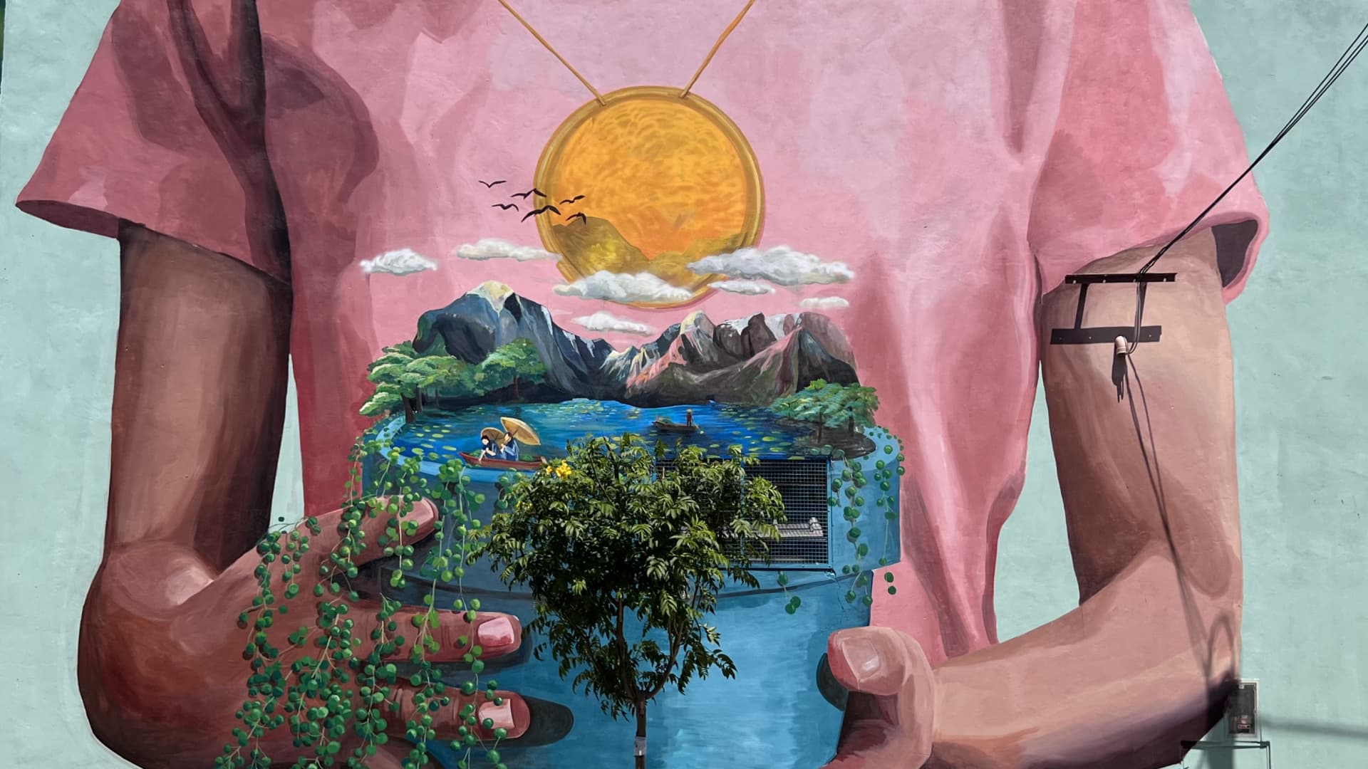 Mabel Vicentef's cover image