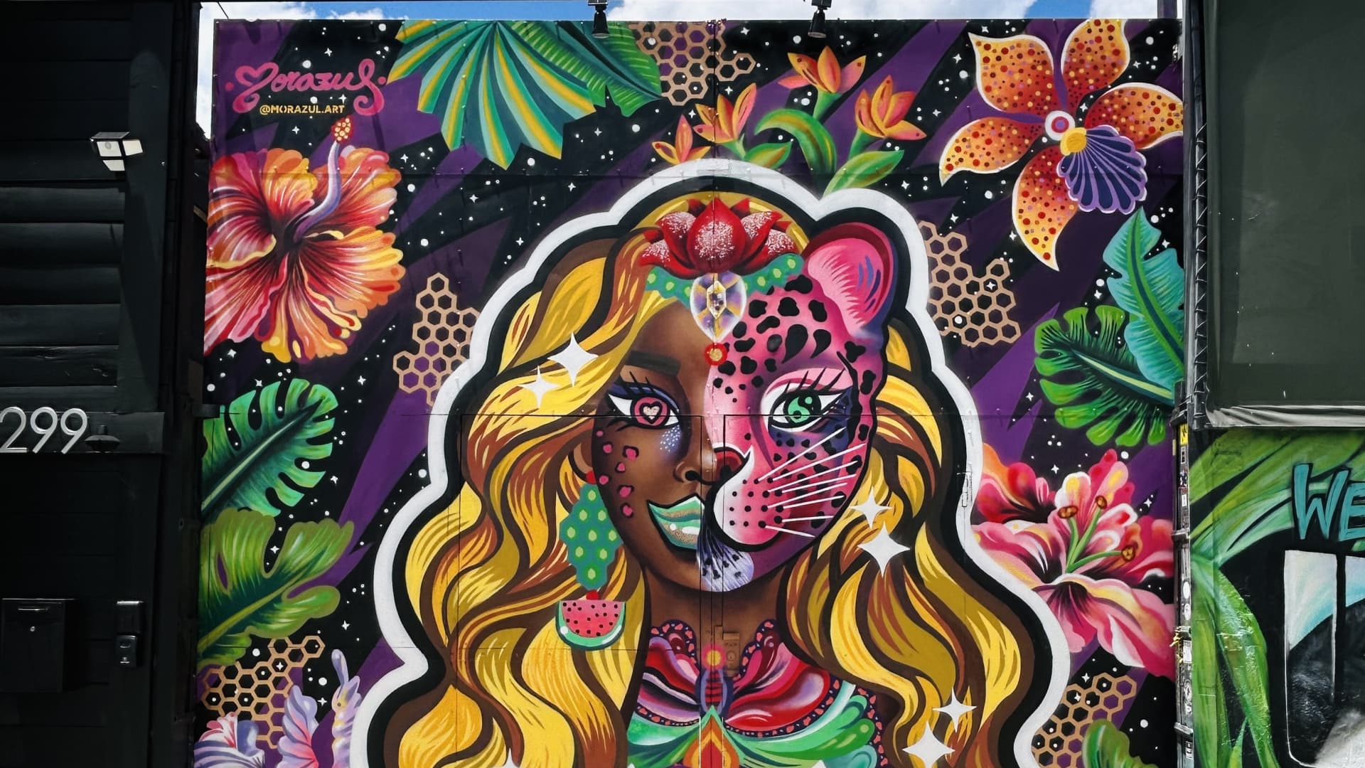 Morazul's cover image