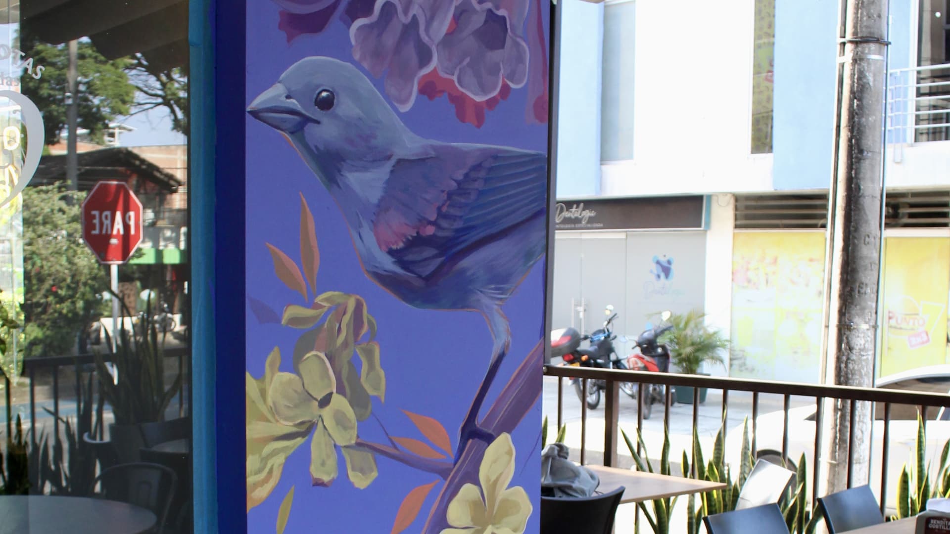 Alucina's cover image