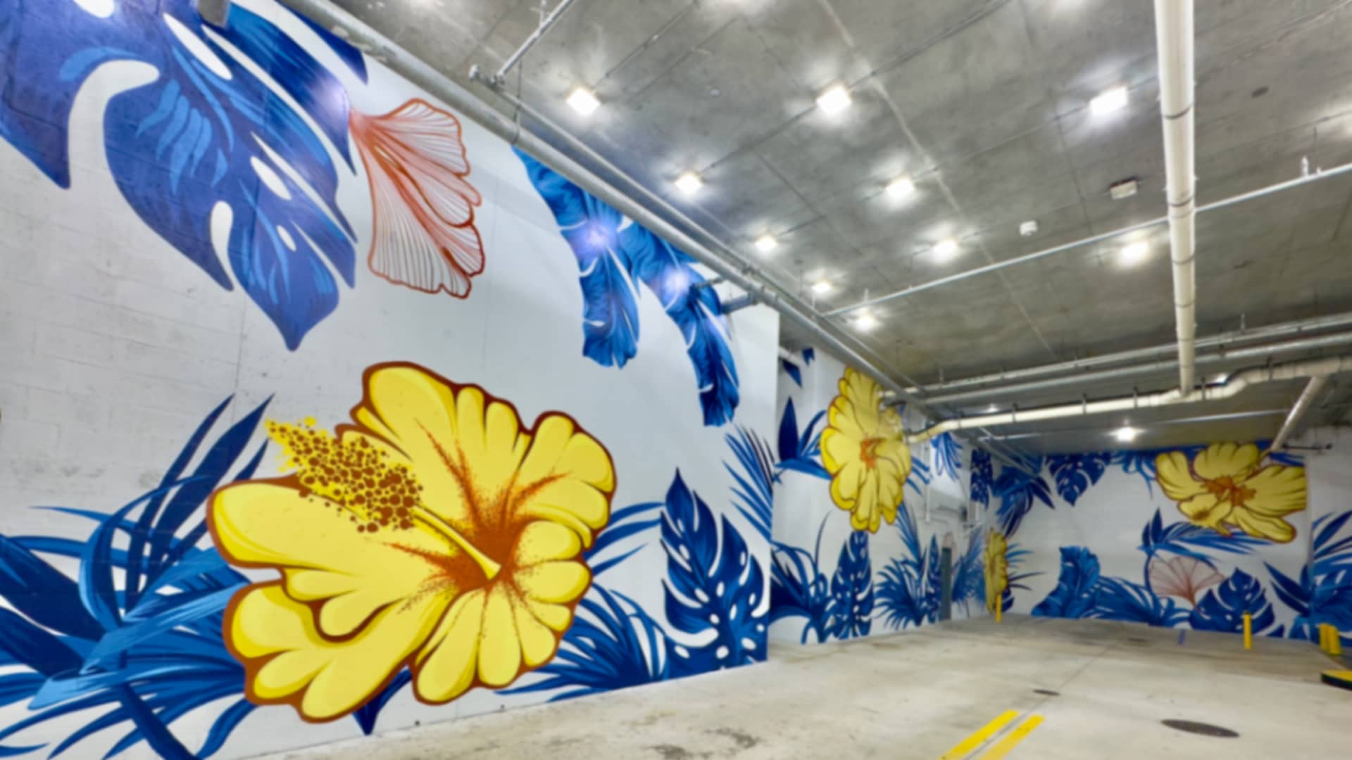 Murals Miami's cover image
