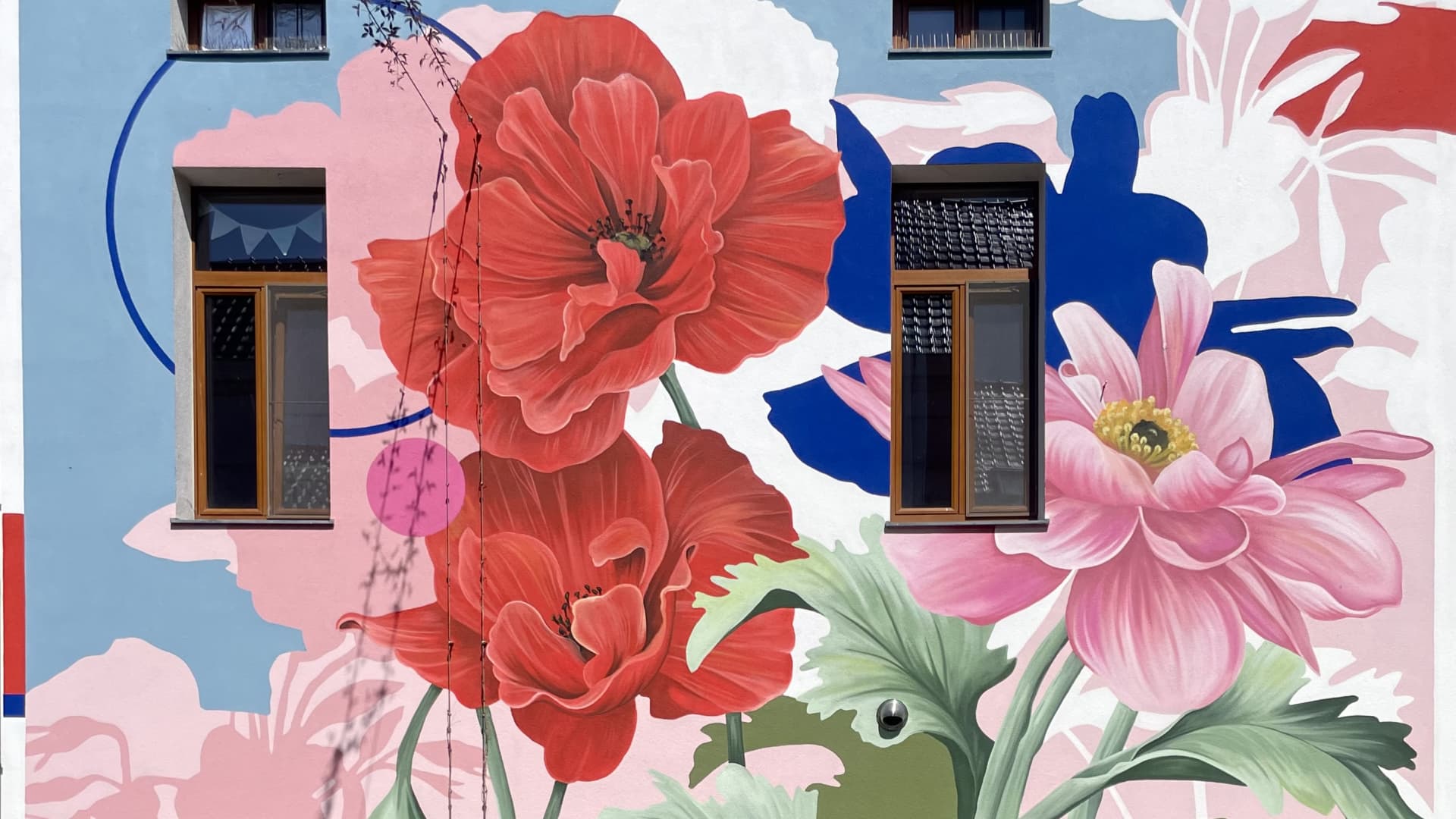Cíclope's cover image