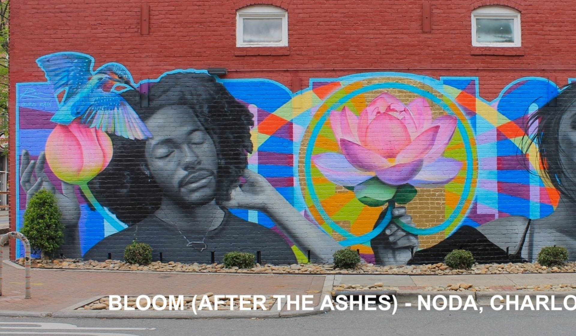 Bloom