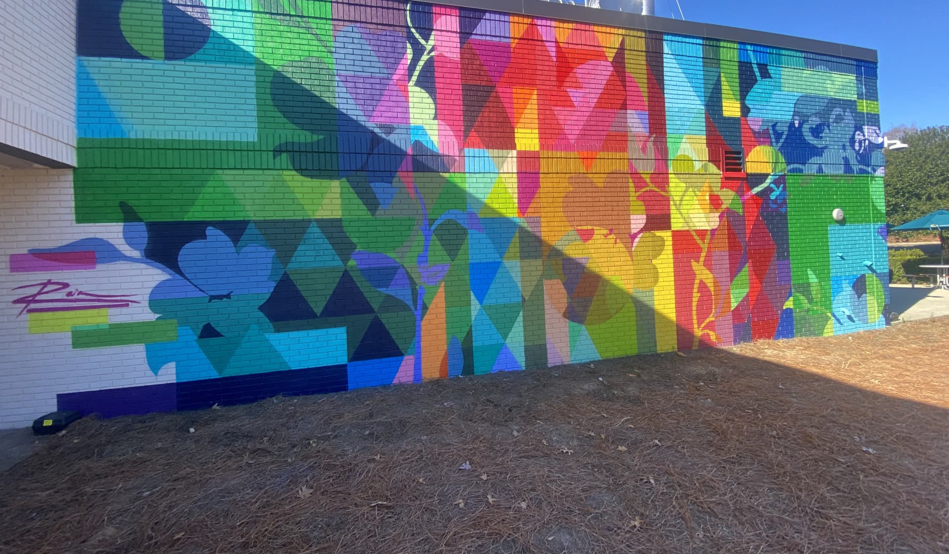 Vibrant Harmony in Colorful Geometry