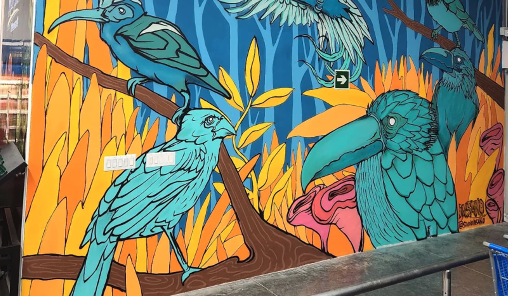Baru Birds
