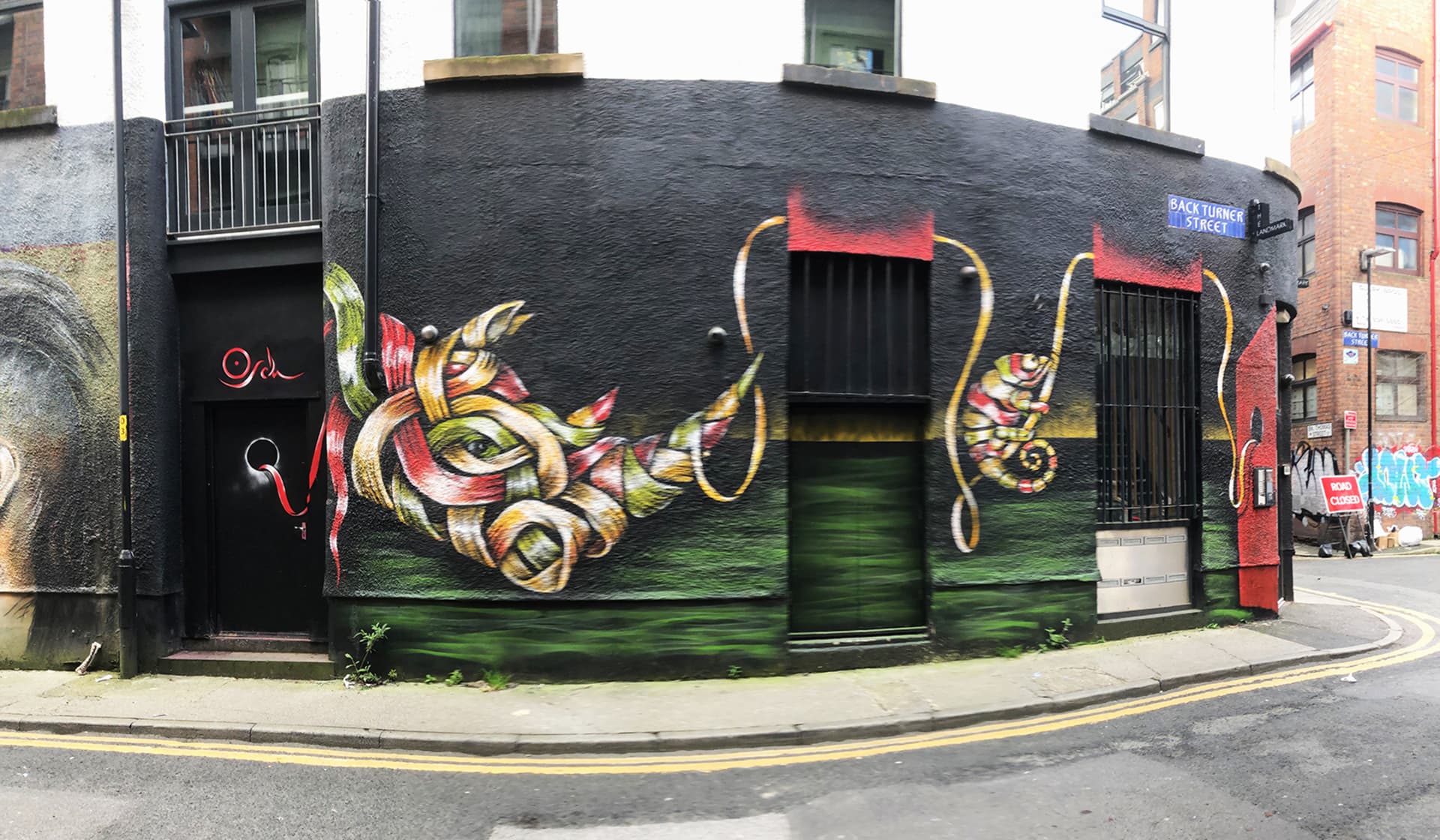 Urban Jungle