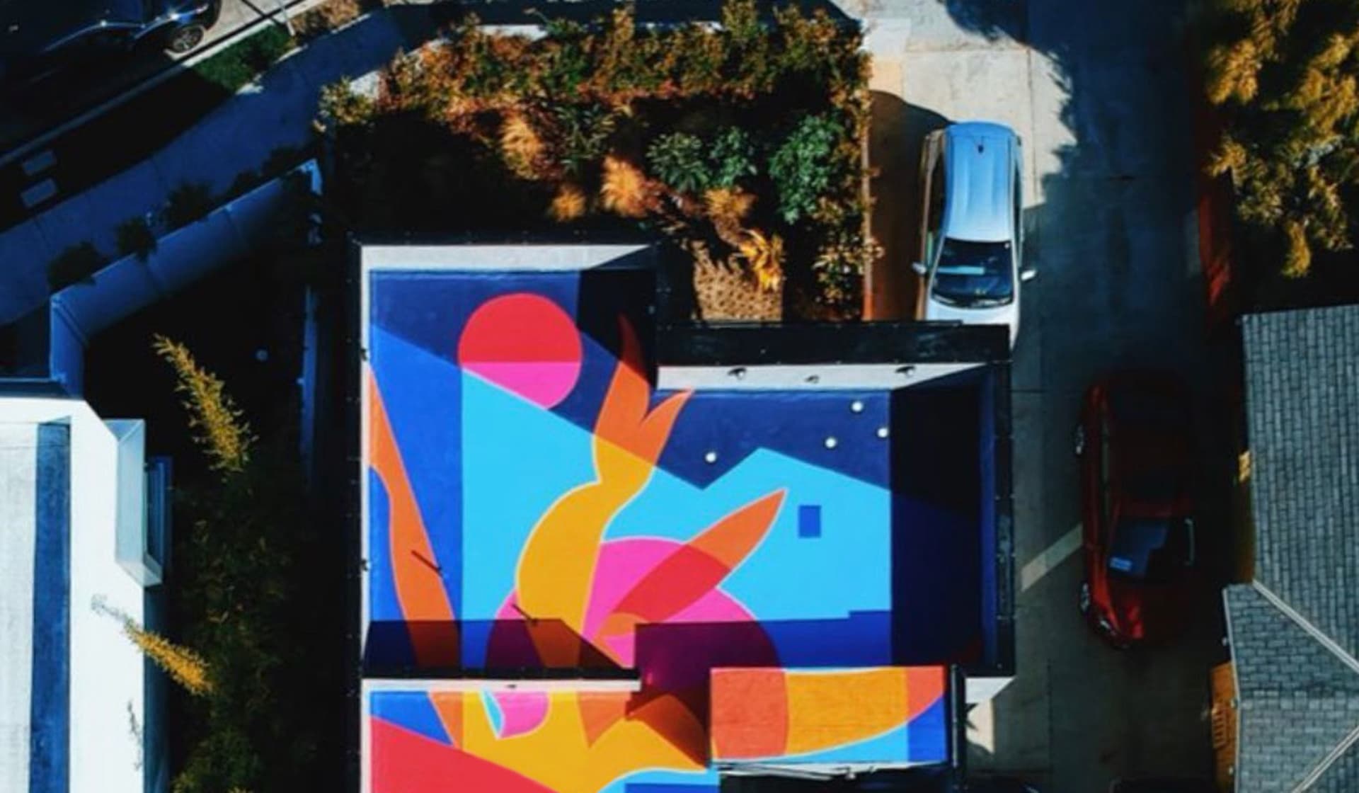 Bird of Paradise Rooftop