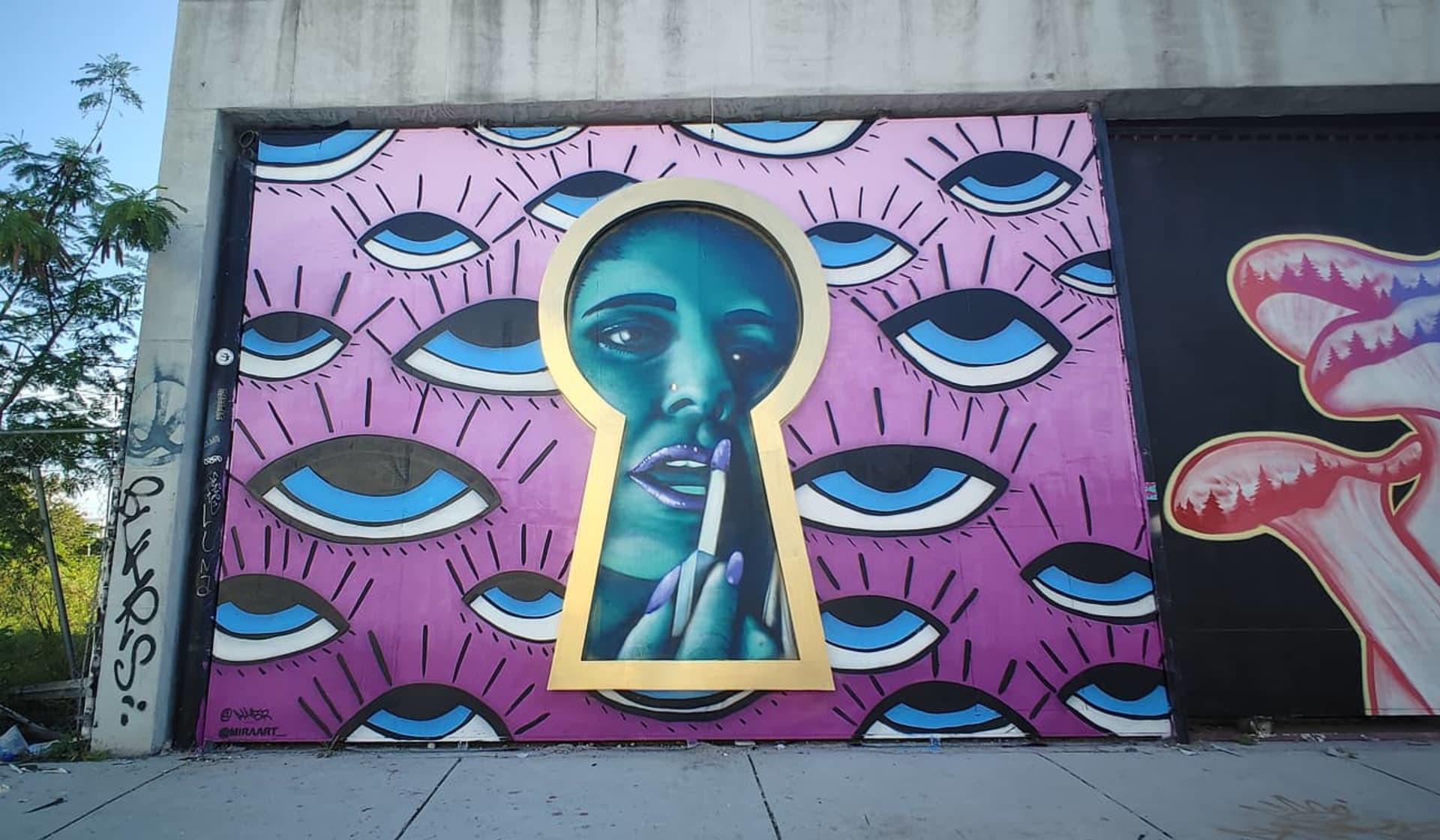 Gaze Through the Keyhole of Perception