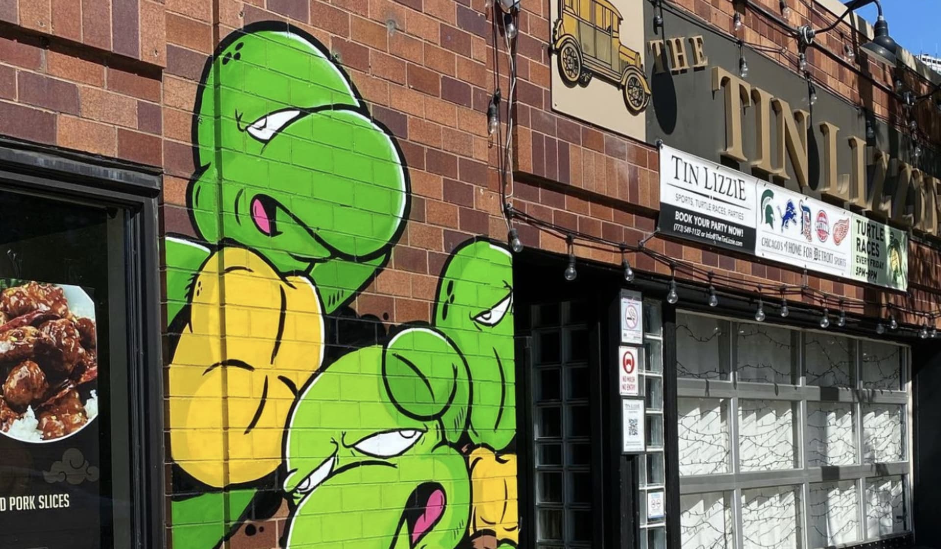 Turtle Power