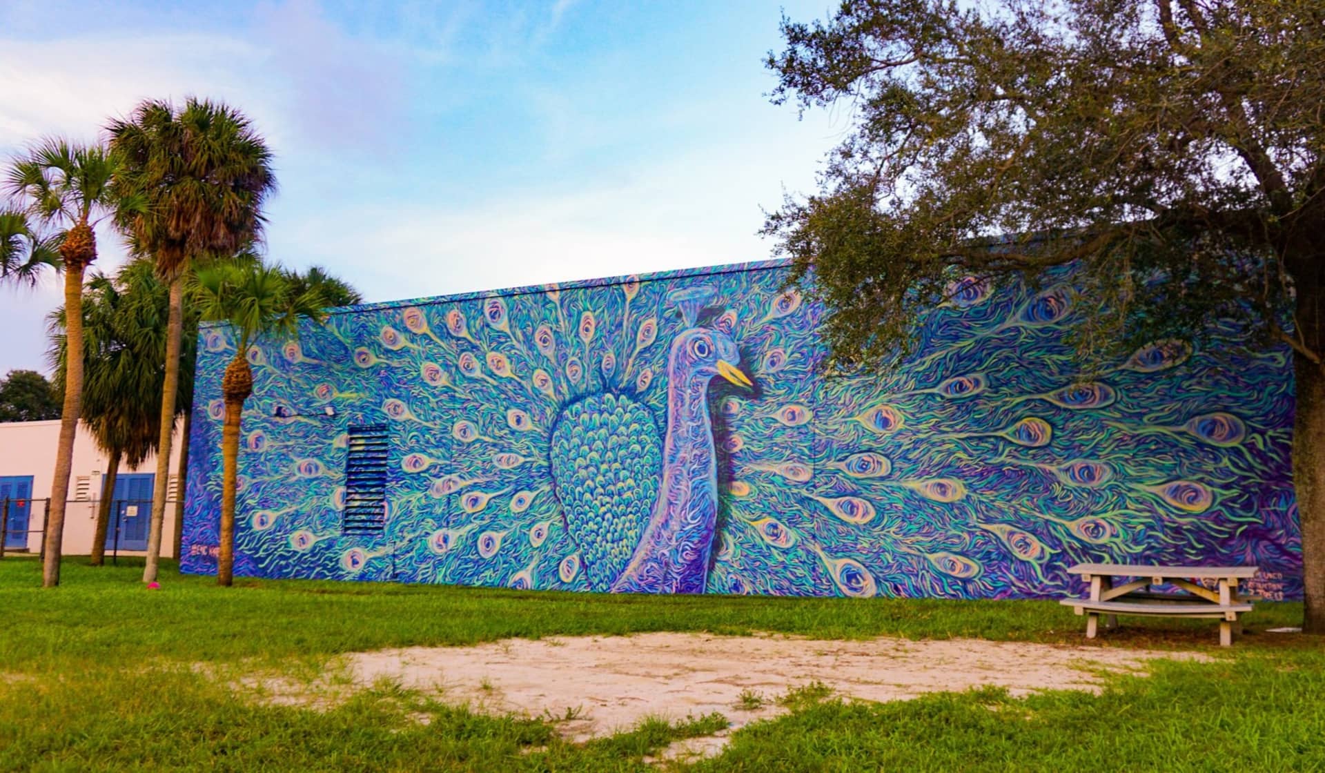 Vibrant Whispers of the Peacock's Tale