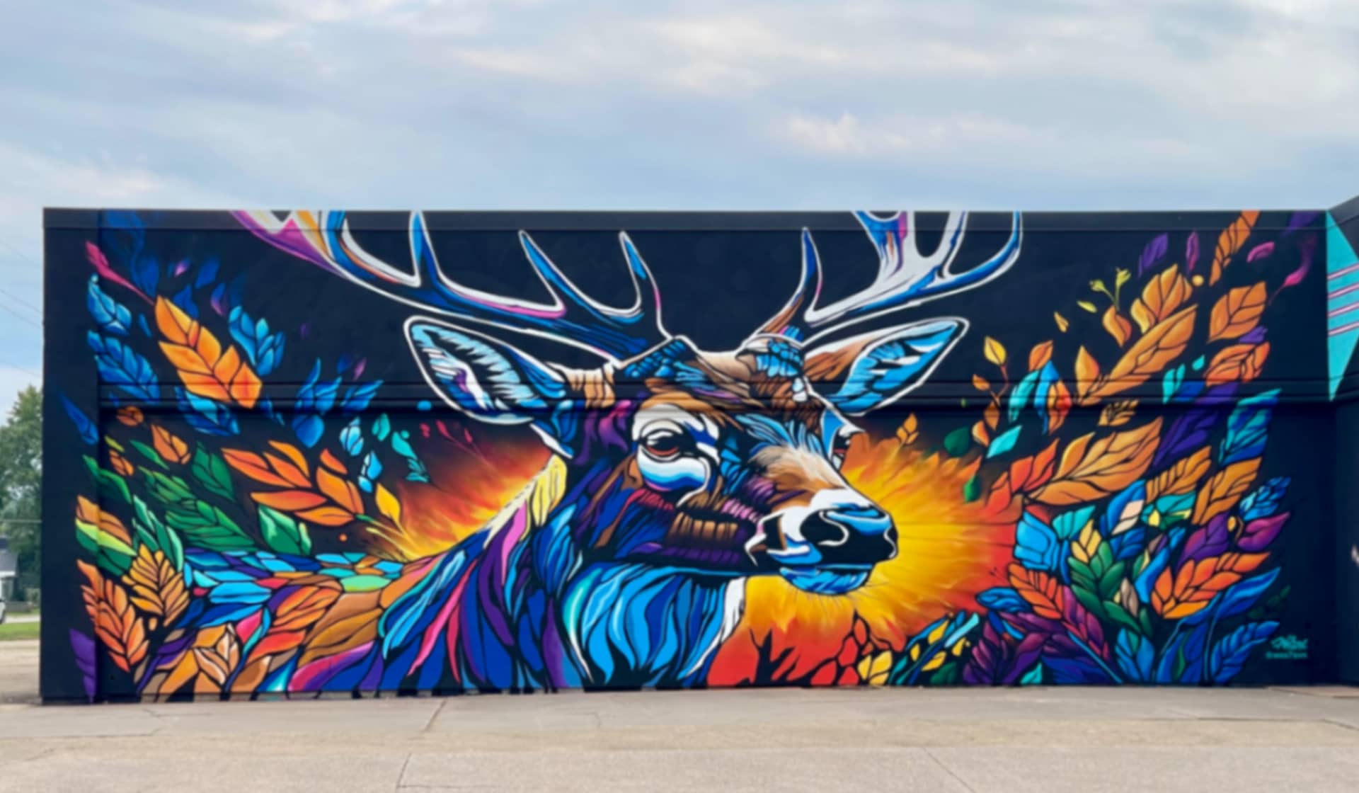 White Tail Deer 
