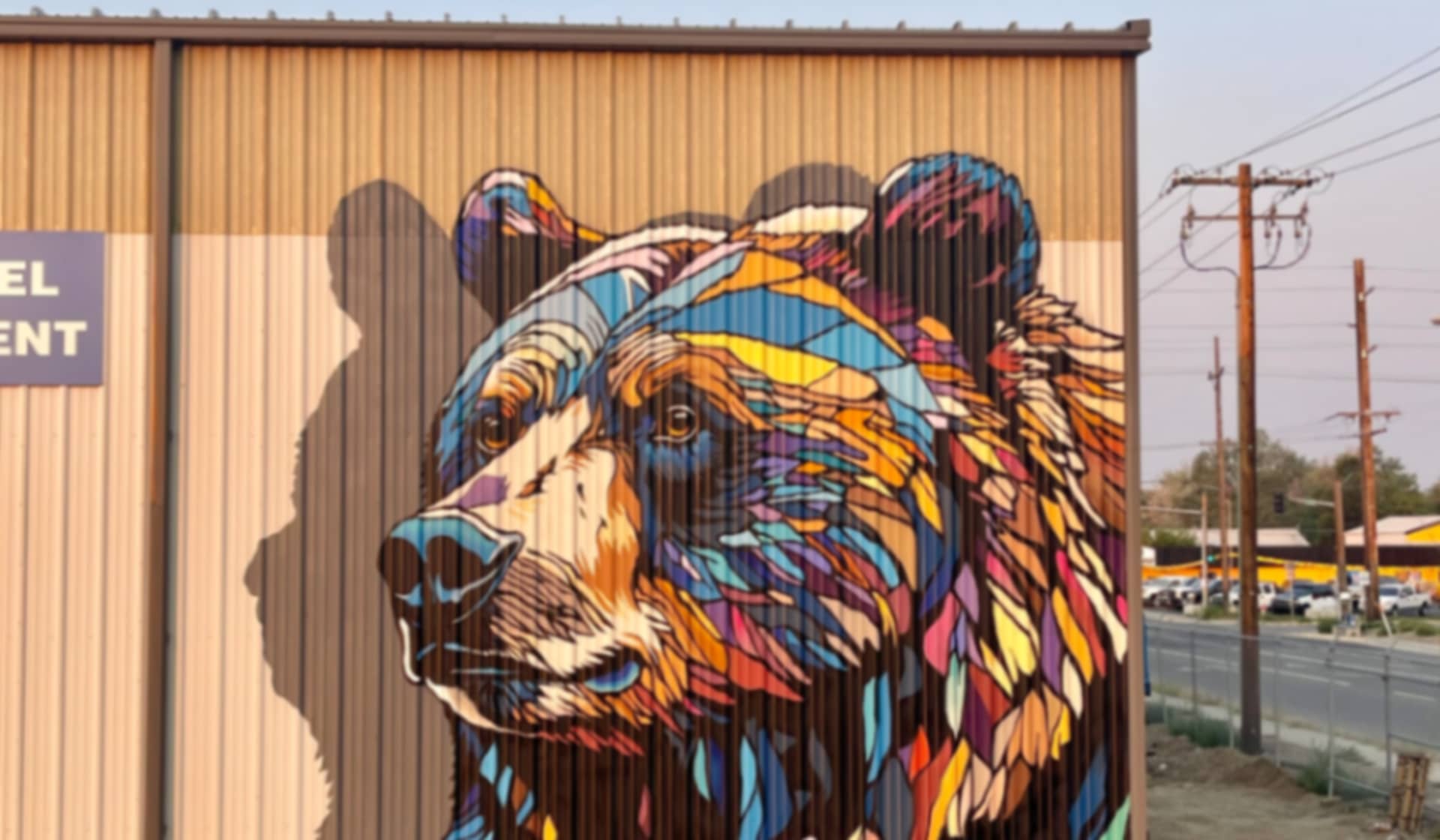 Ursus Arctos Horribilis