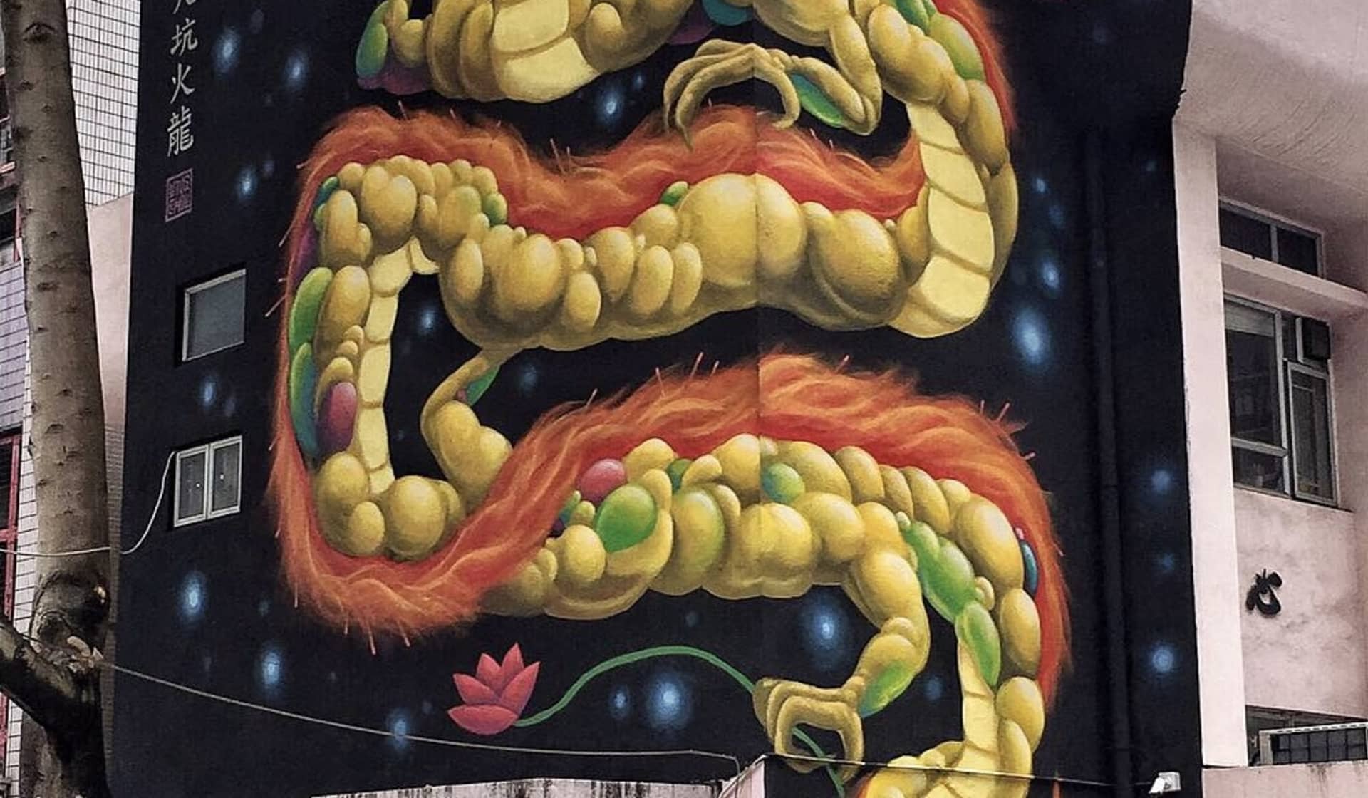 Fire Dragon