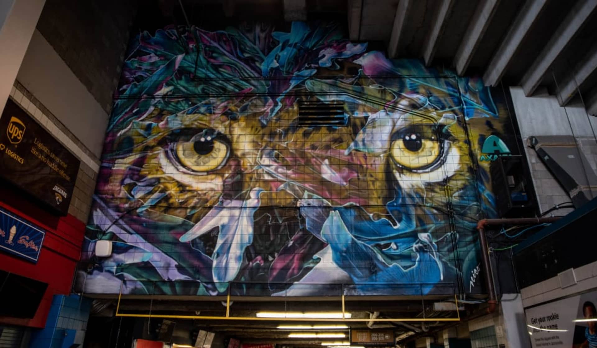 "Peeking Through The Palms" for Jacksonville Jaguars