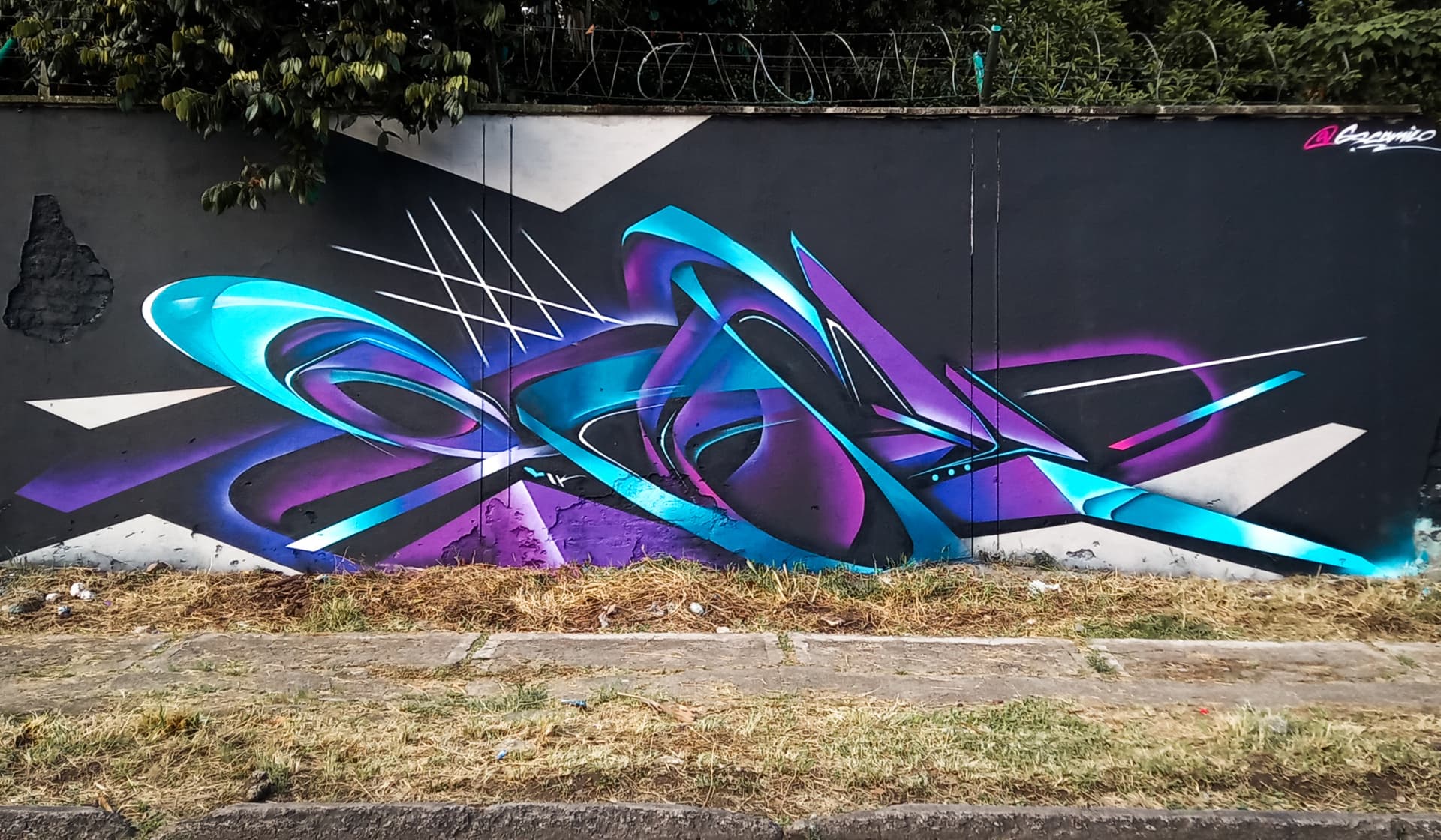 Fluid Dynamics of Color and Form