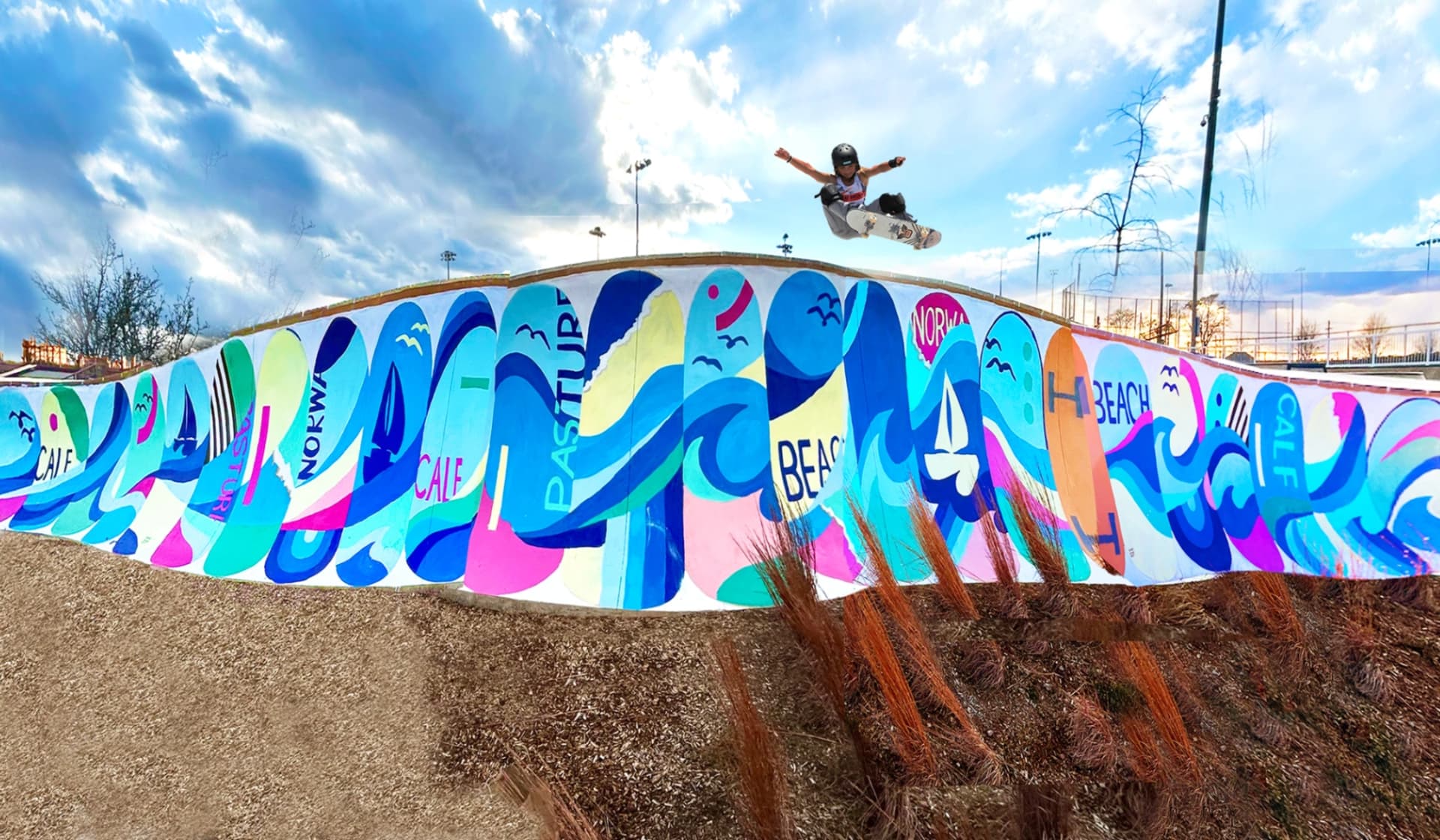Beach Skatepark Mural
