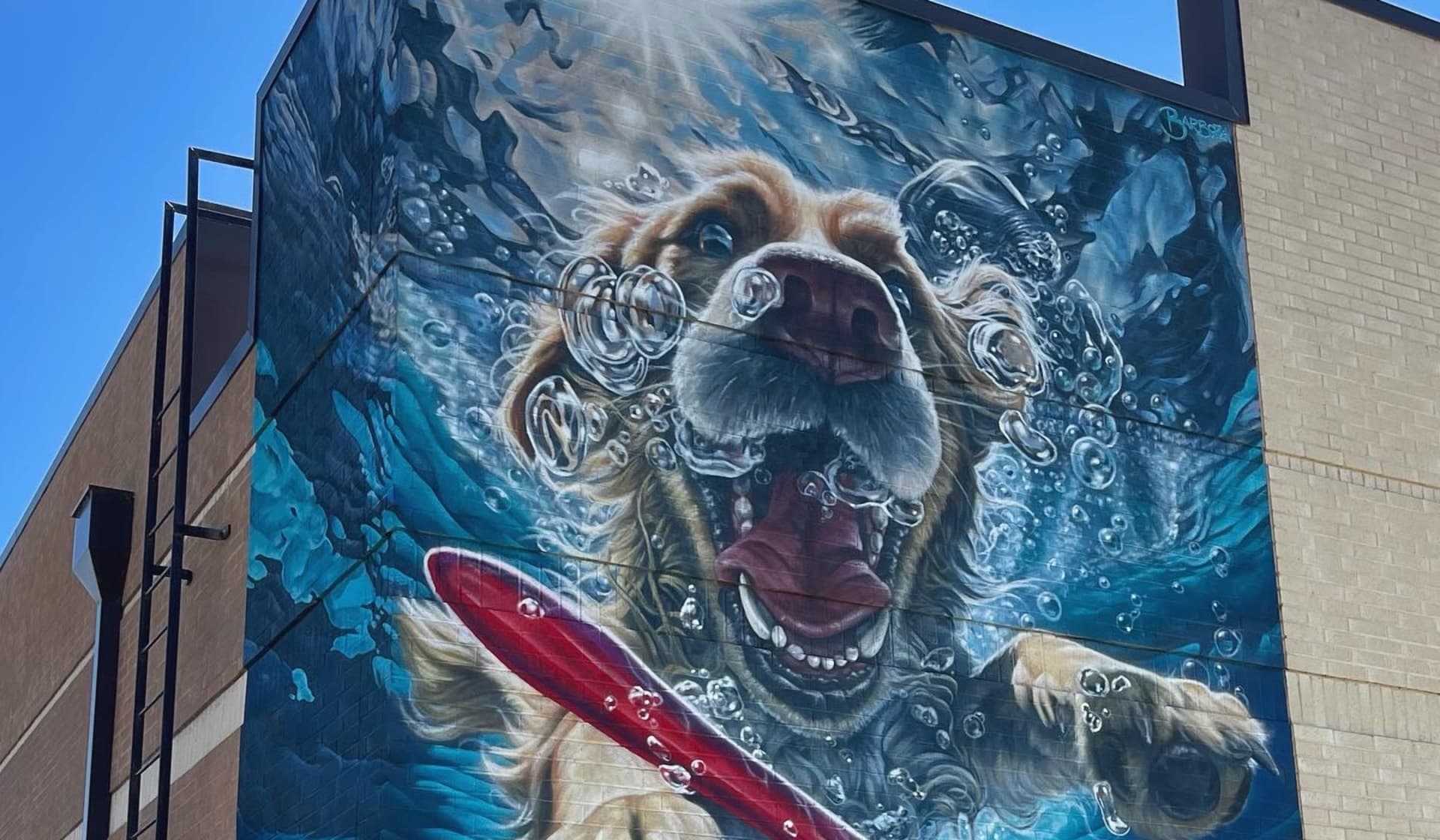 Joyful Splash of Canine Whimsy