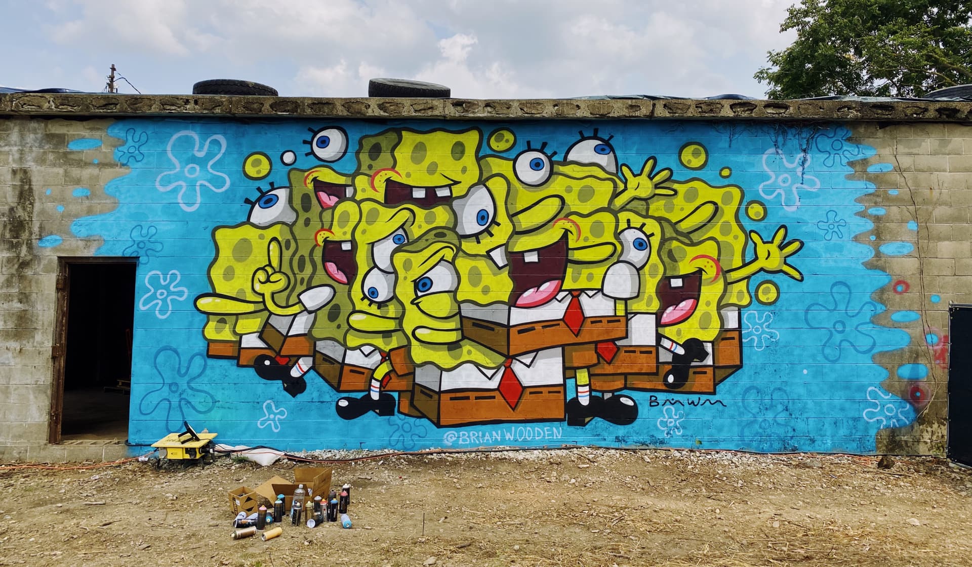 Cartoon Sponge