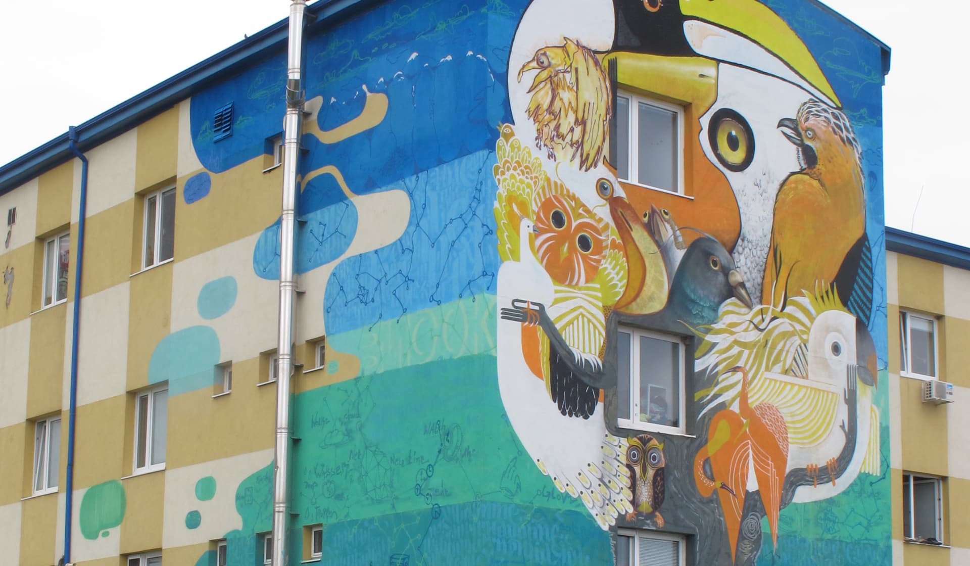 Birds, 2012