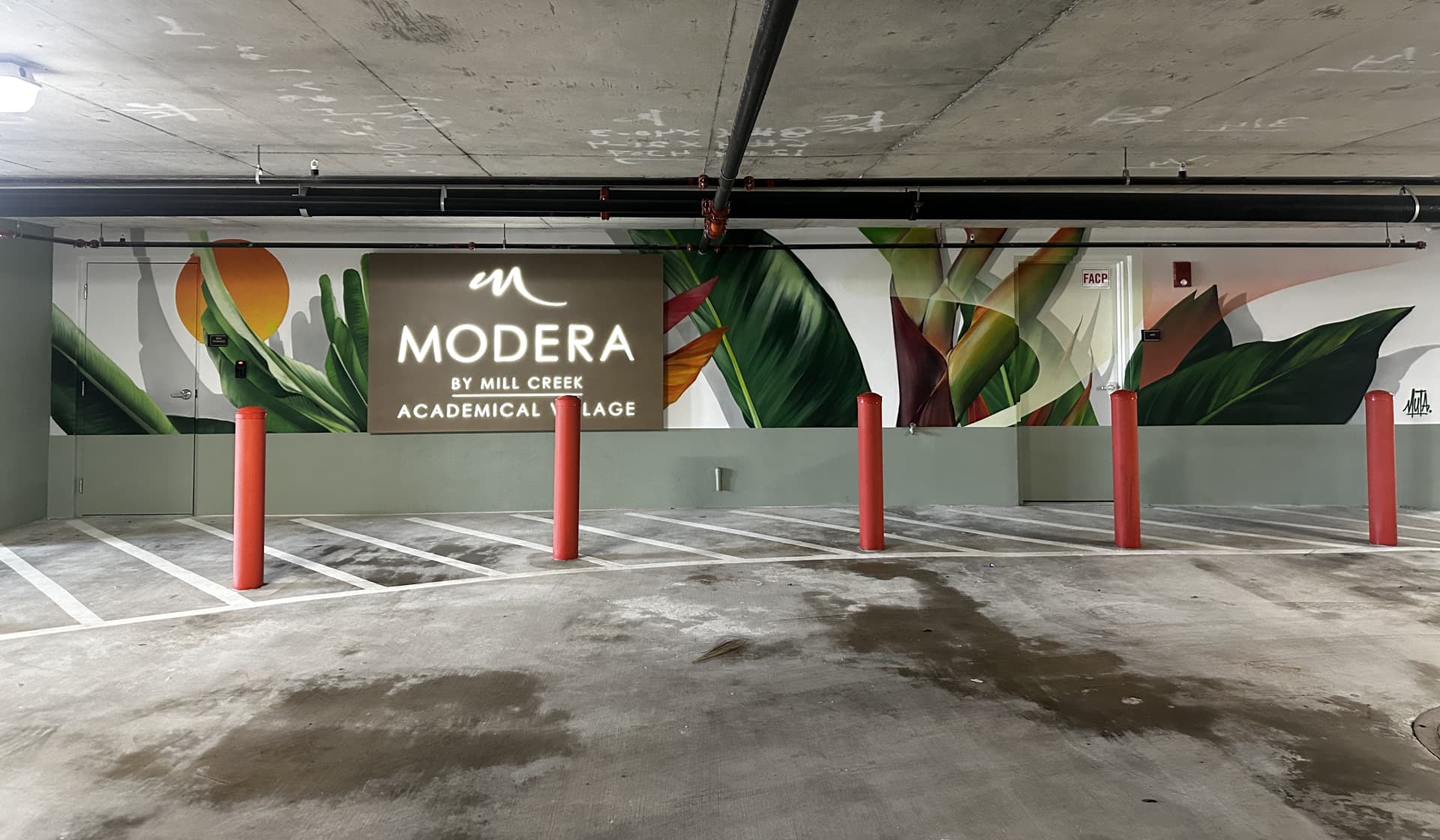 Urban Oasis: Nature's Embrace in Concrete