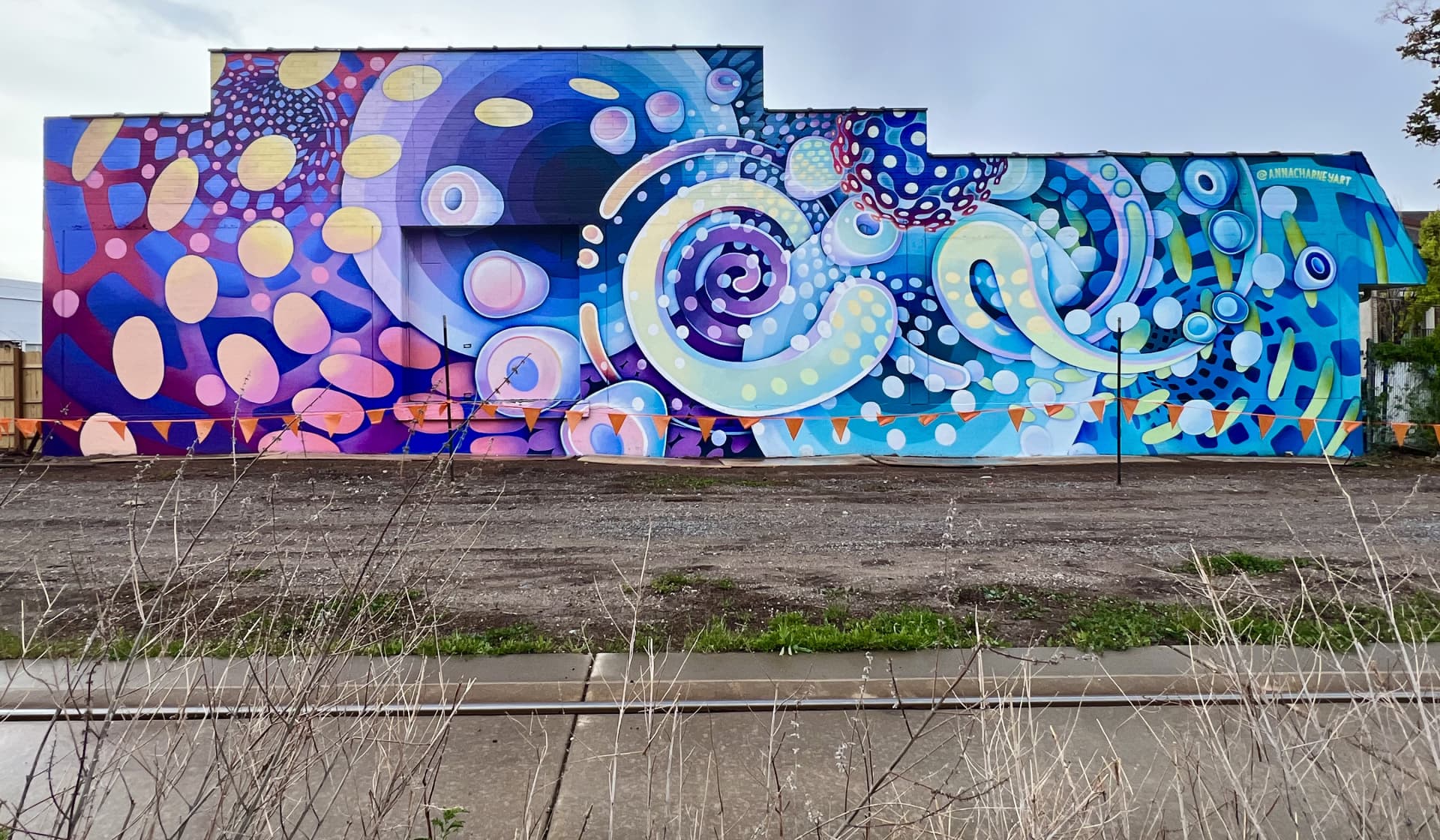Whirls of Color in Urban Harmony