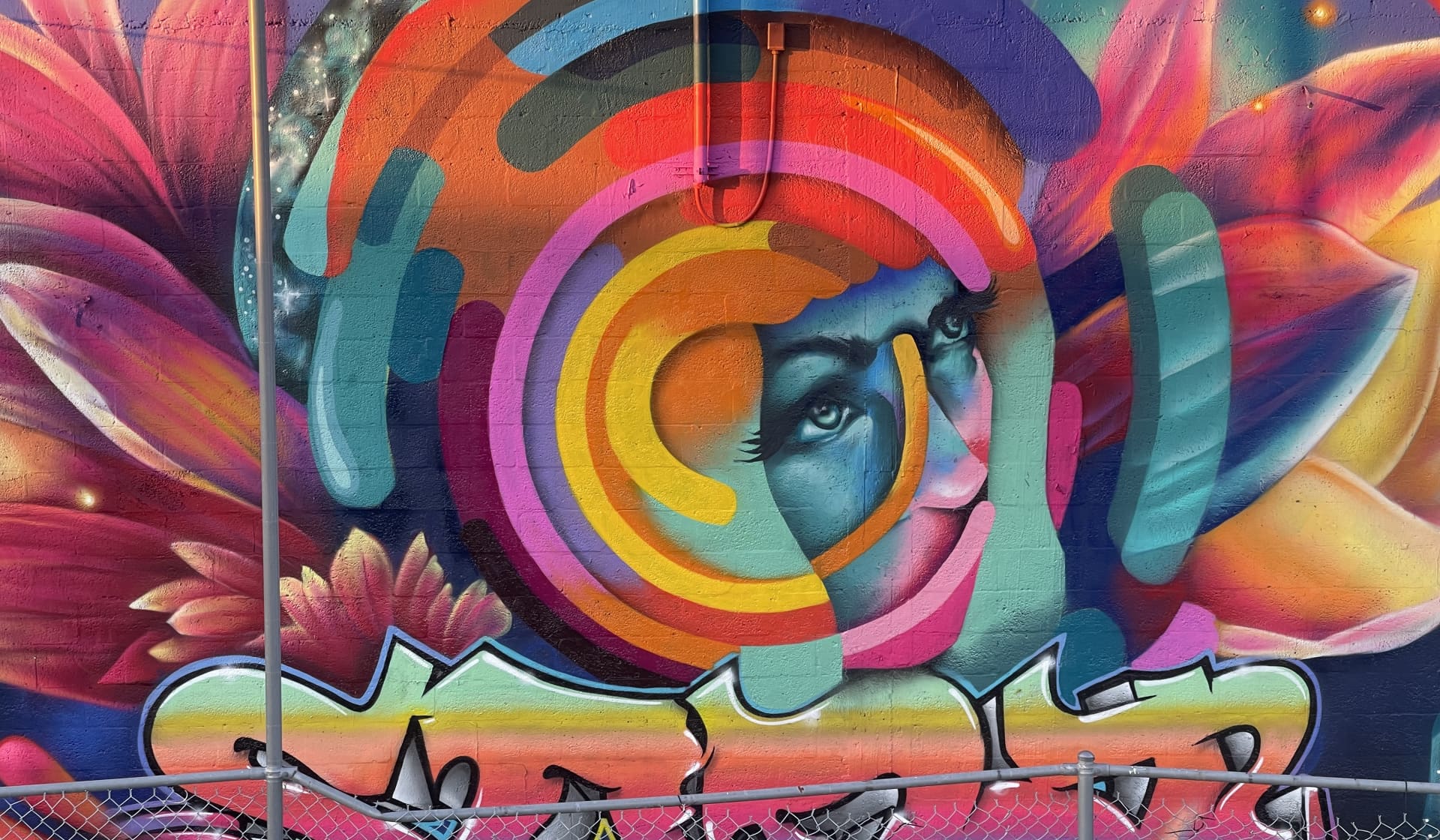 Collab: Whitney Holbourn x DreamWeaver