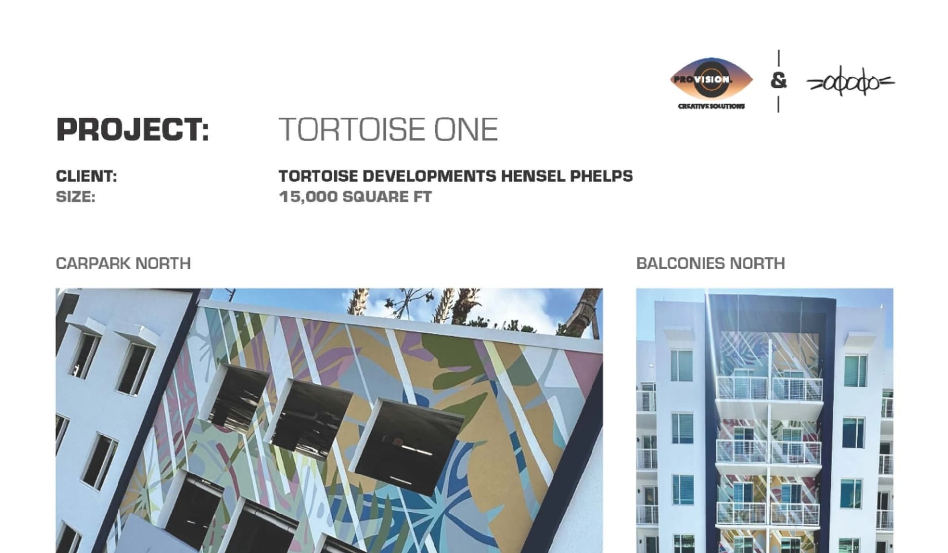 TORTOISE ONE