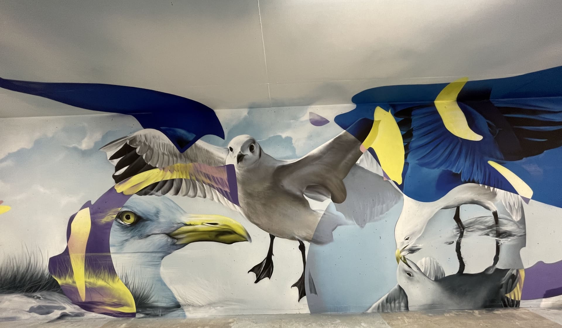 Jonathan Livingston seagull