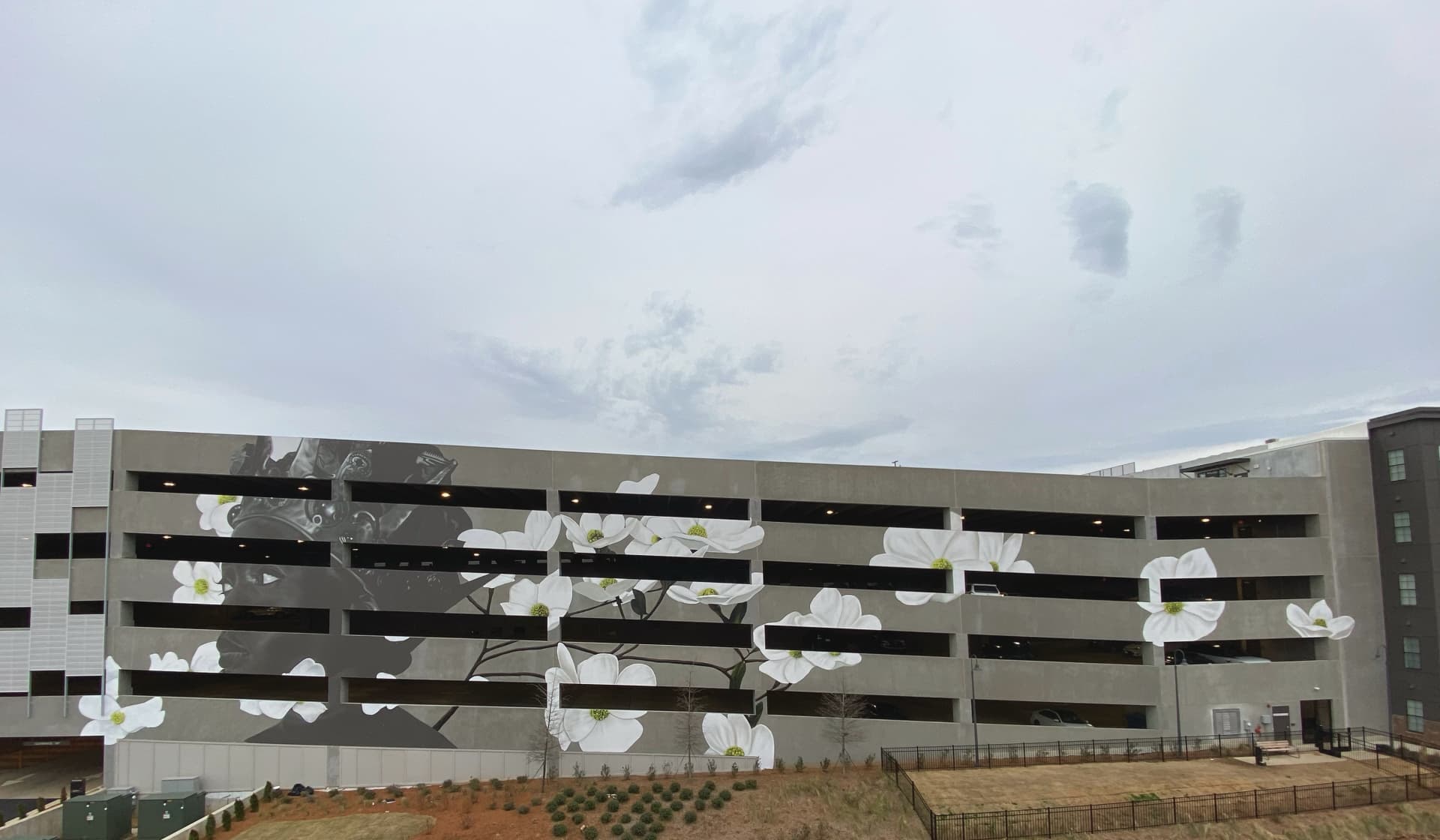 Queen City