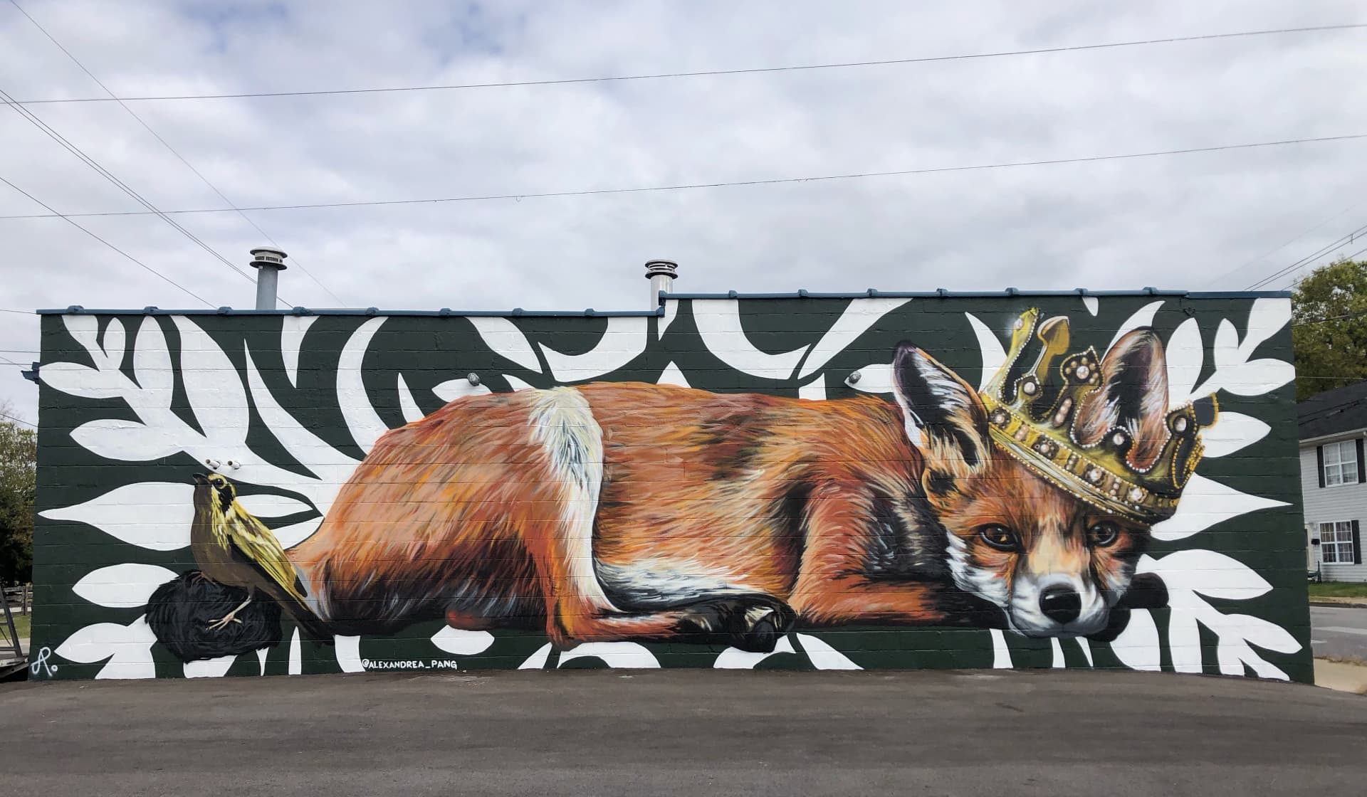 The Fox King