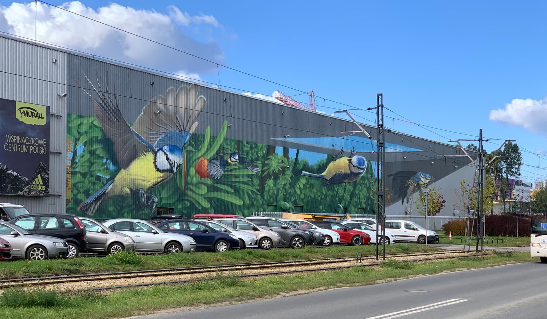Whispers of Nature in Urban Flight