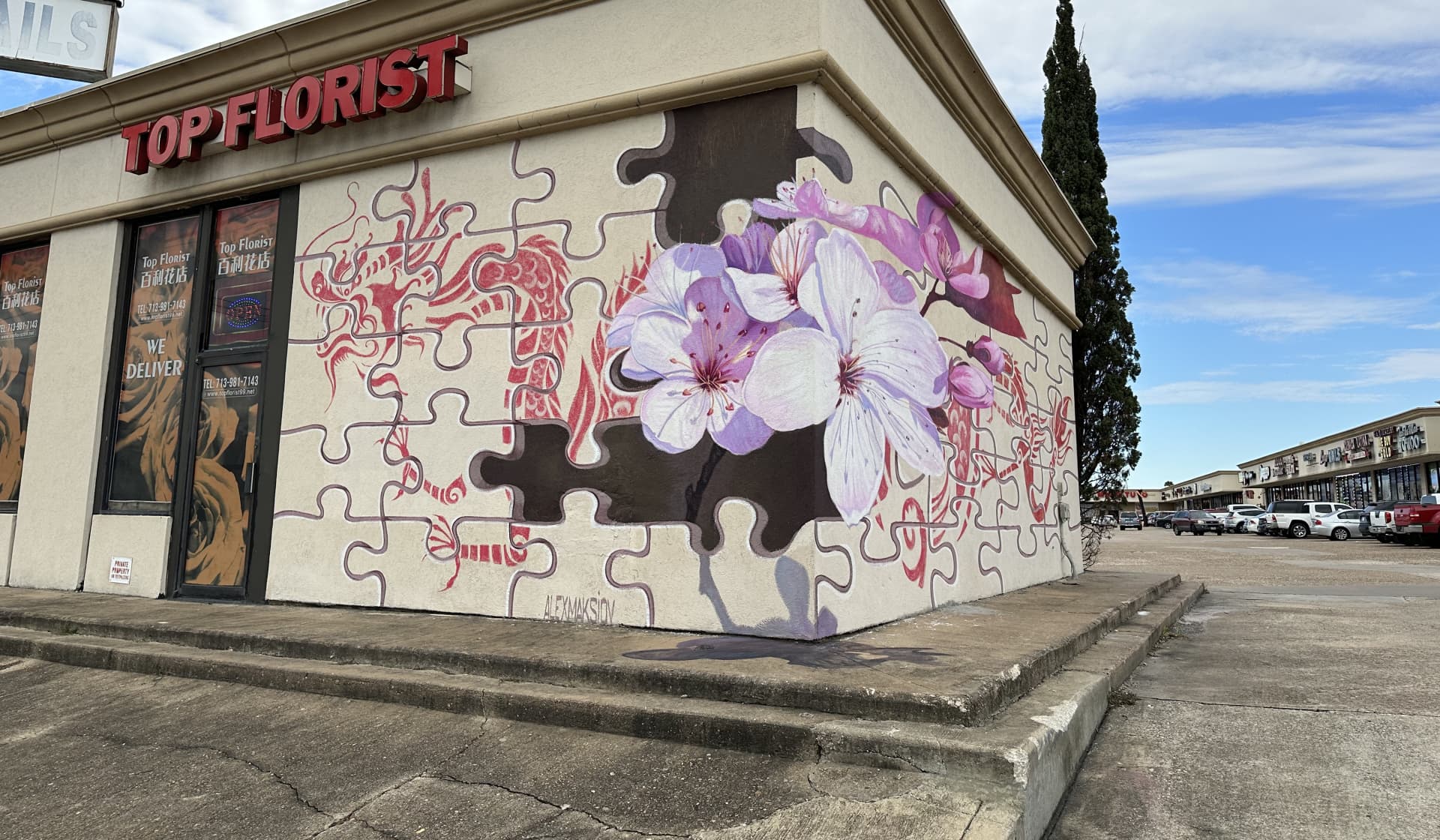 Puzzle of Blossoms and Serpents